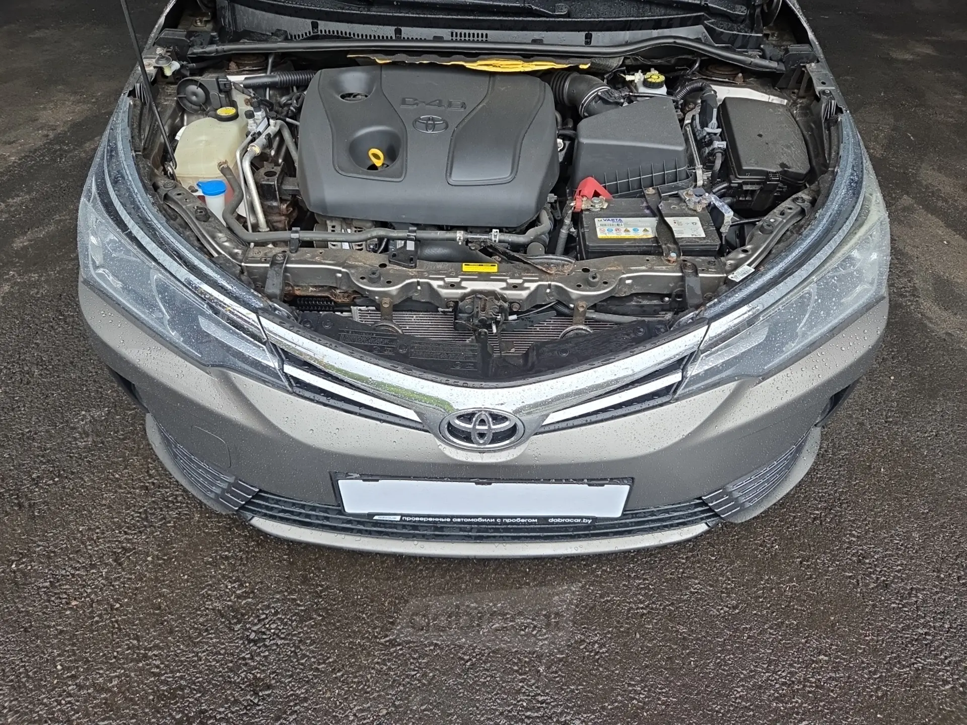  Corolla