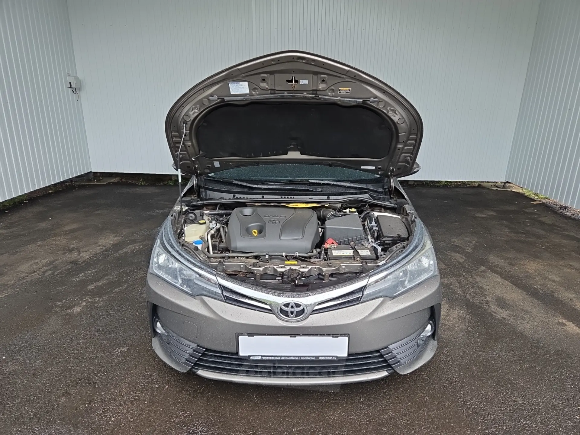  Corolla