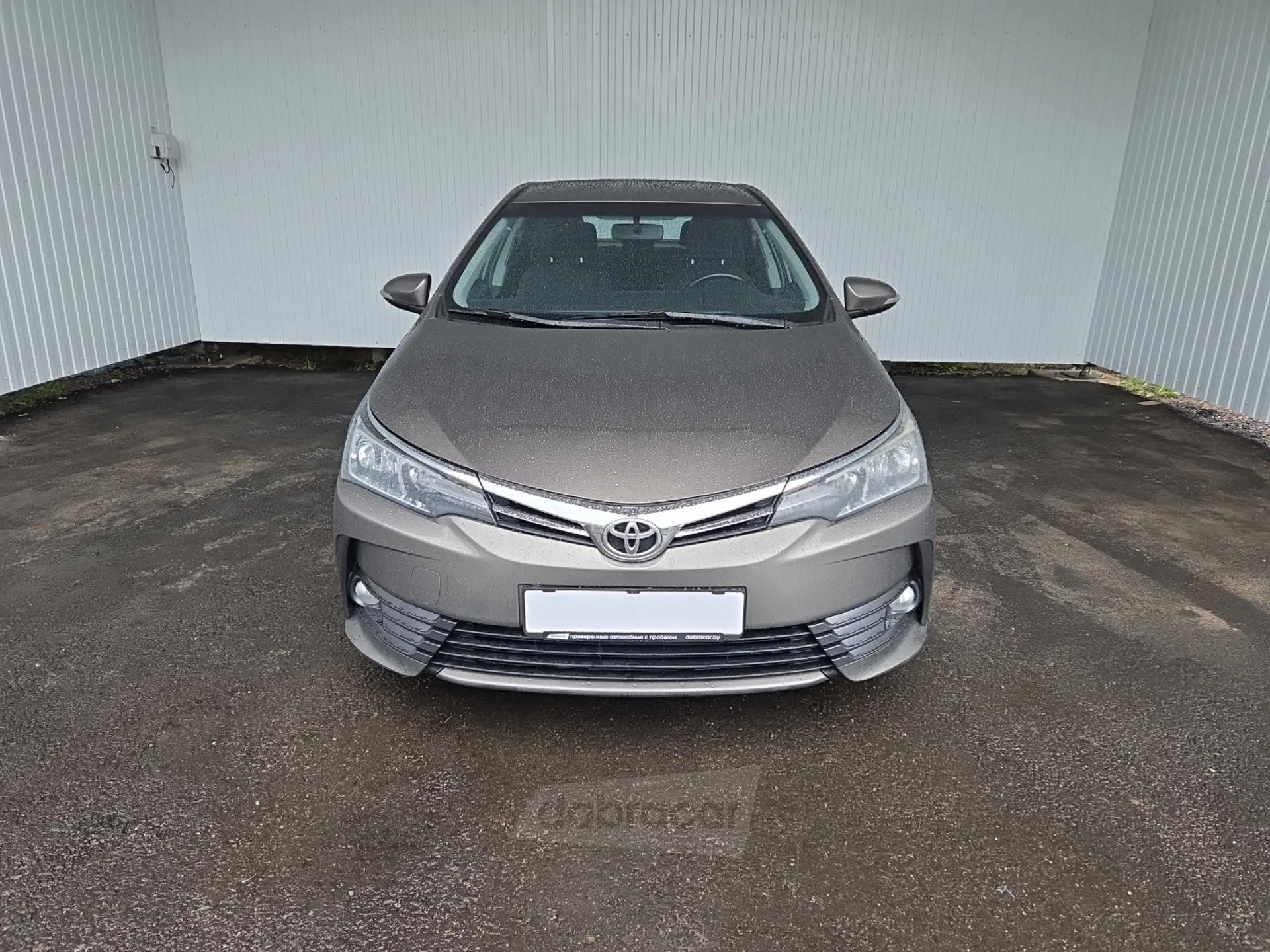  Corolla