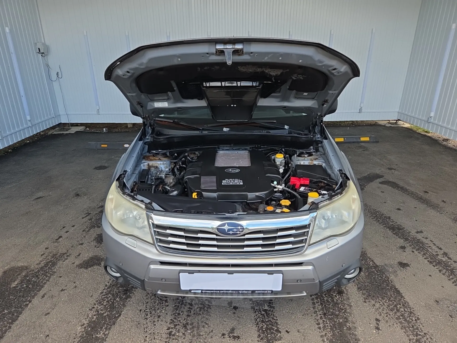  Forester