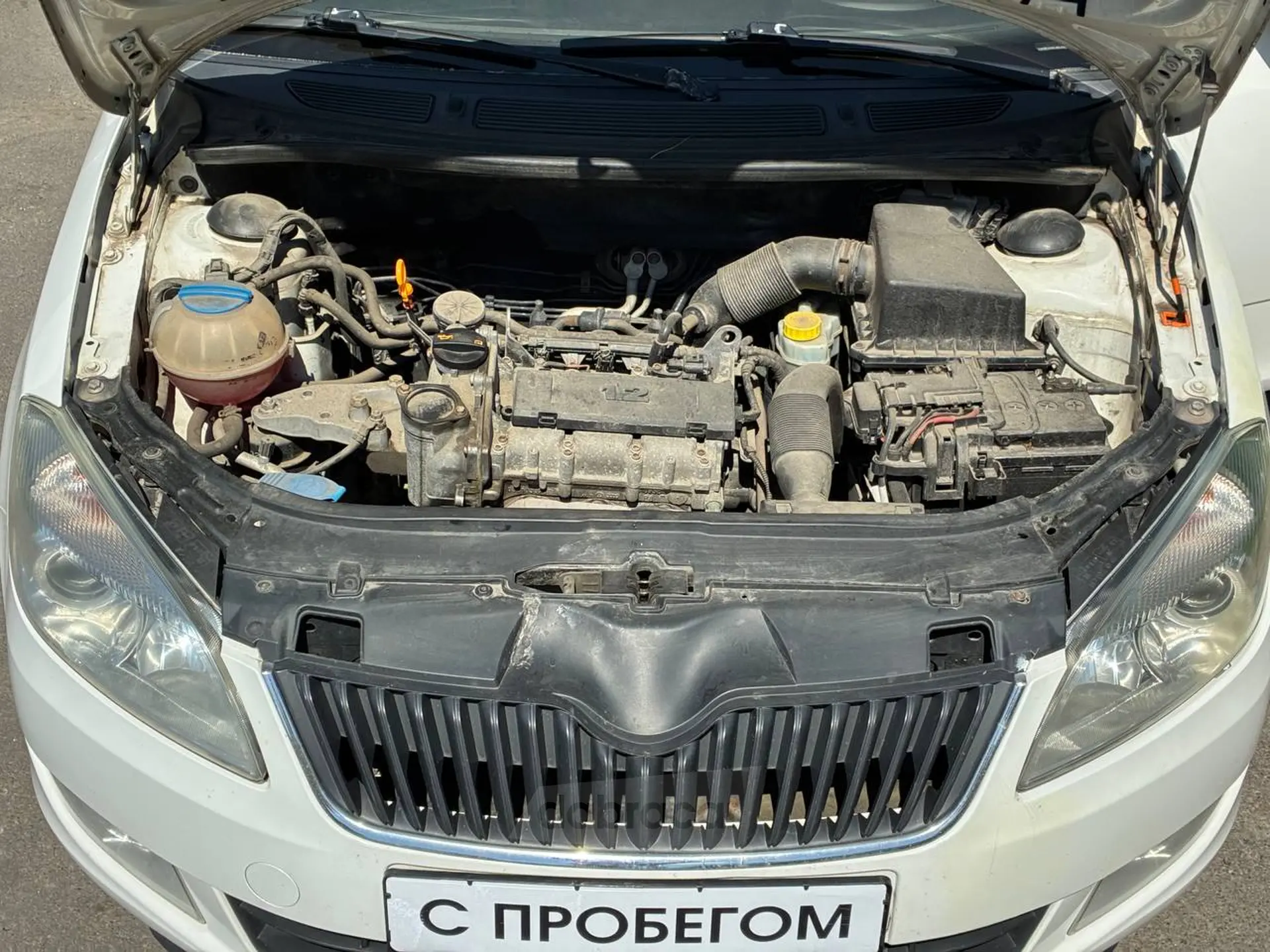  Fabia