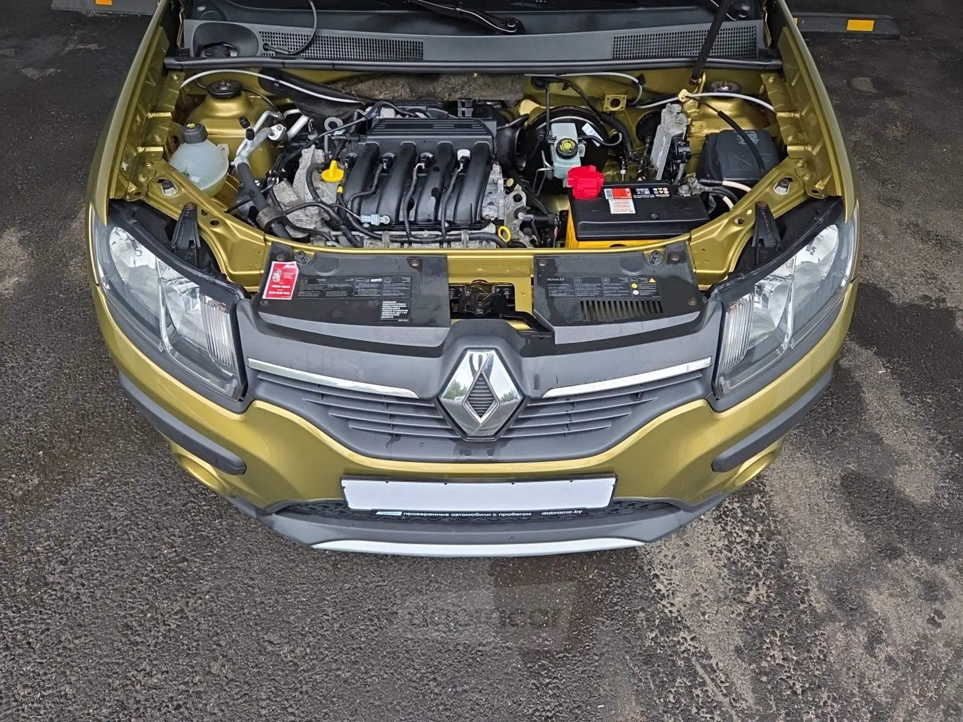  Sandero