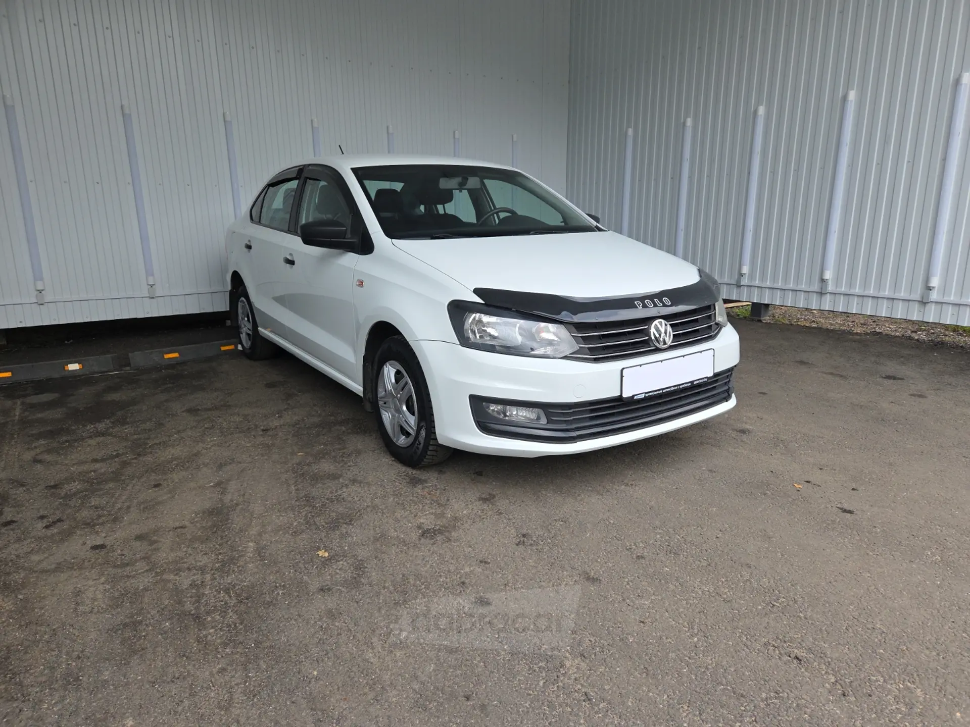  Polo