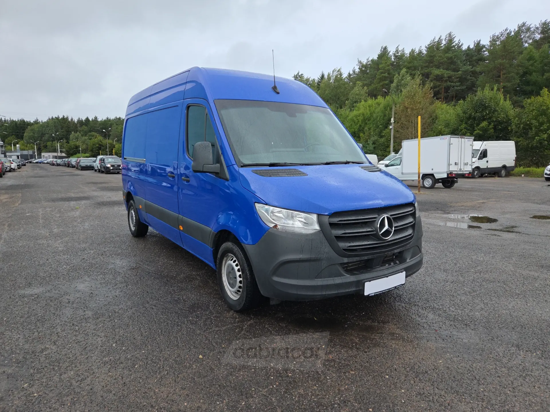  Sprinter
