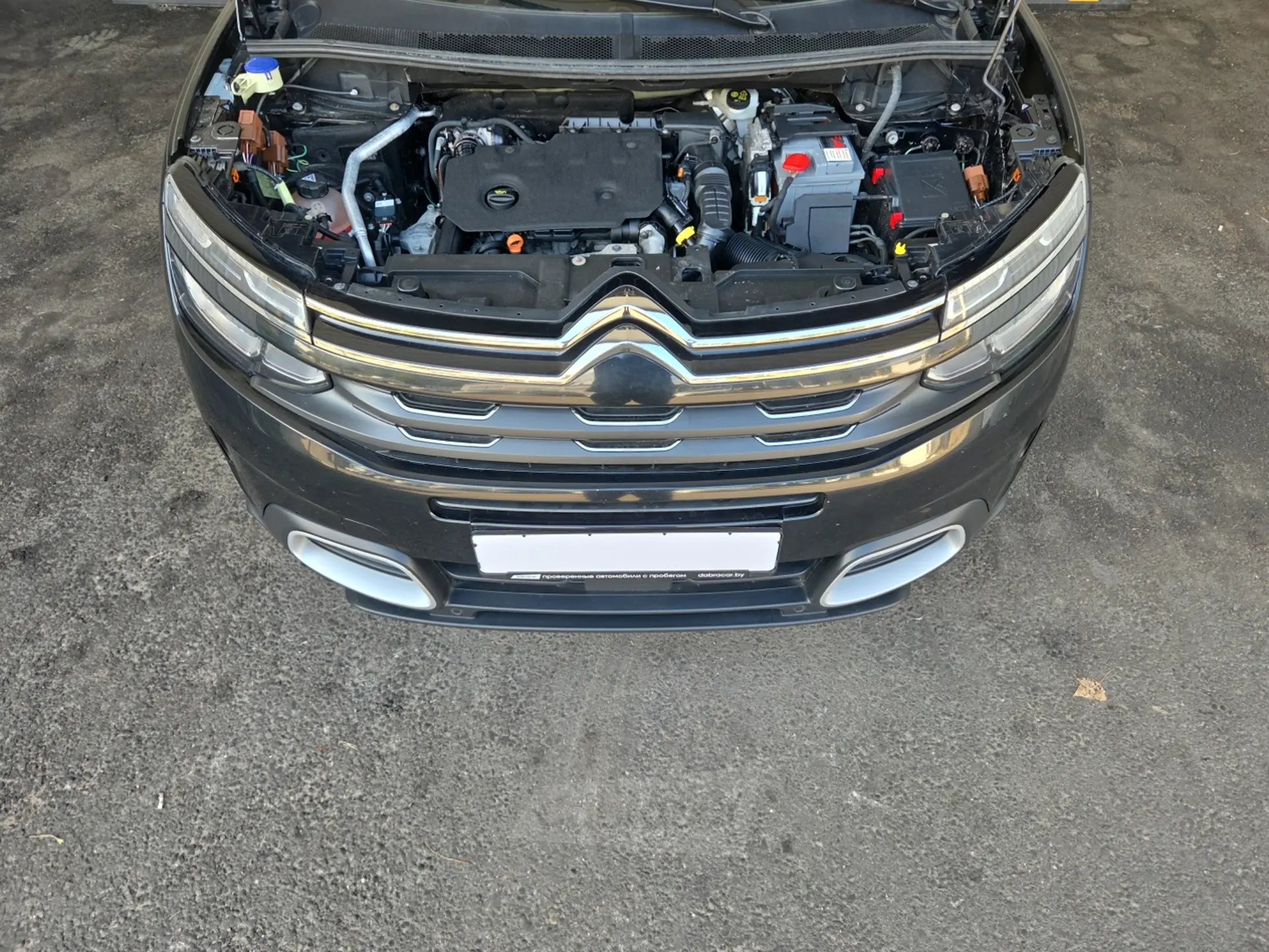  C5 Aircross