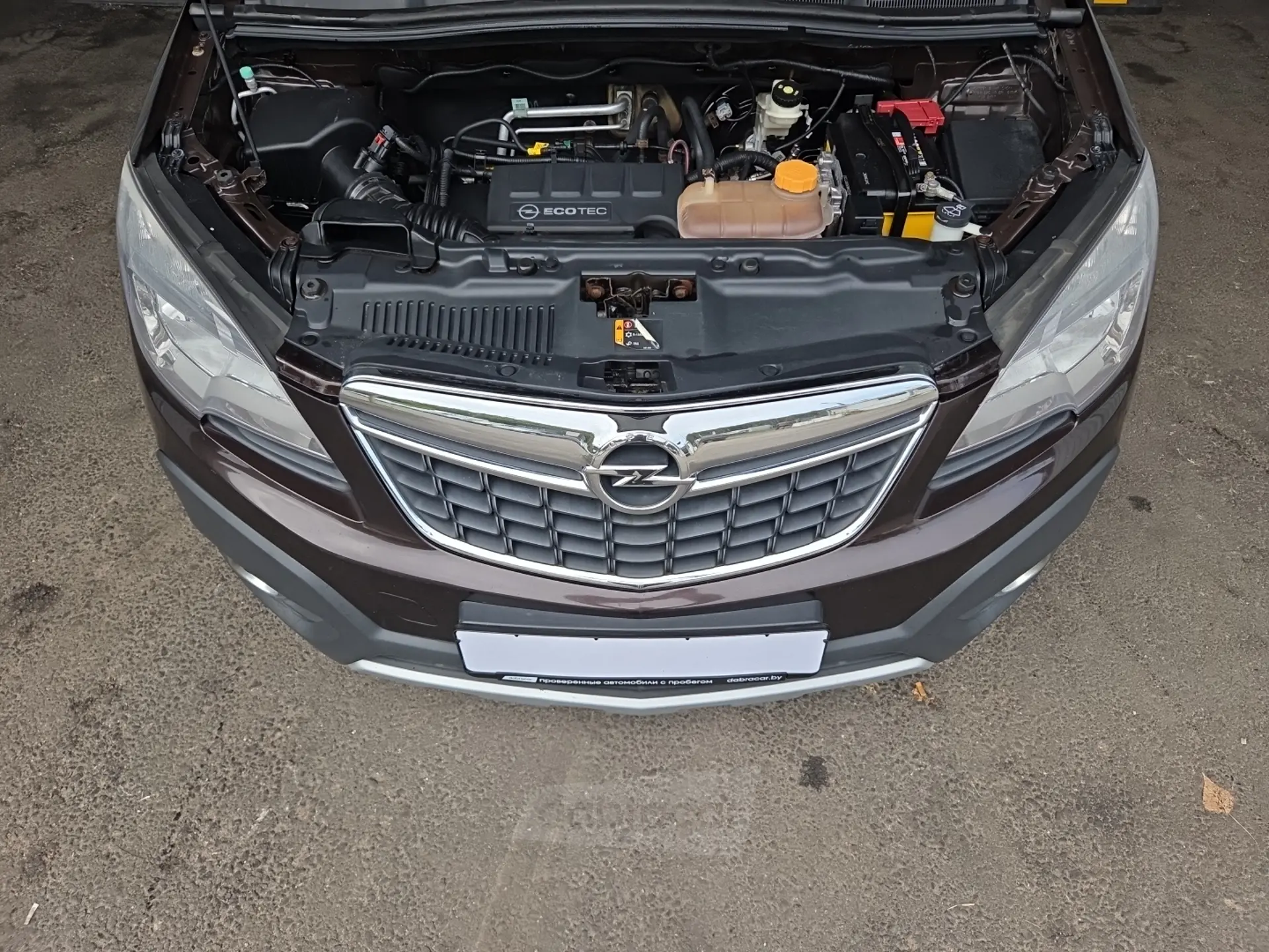  Mokka