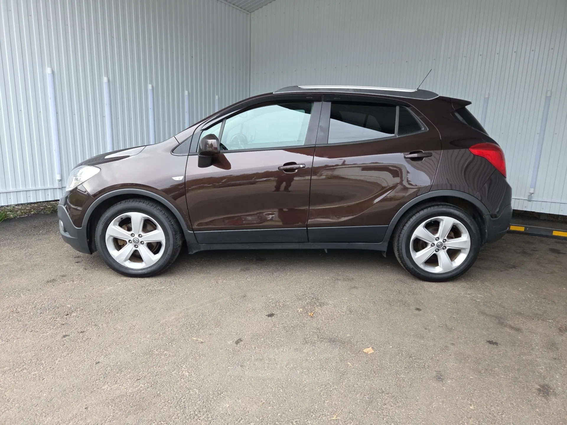  Mokka