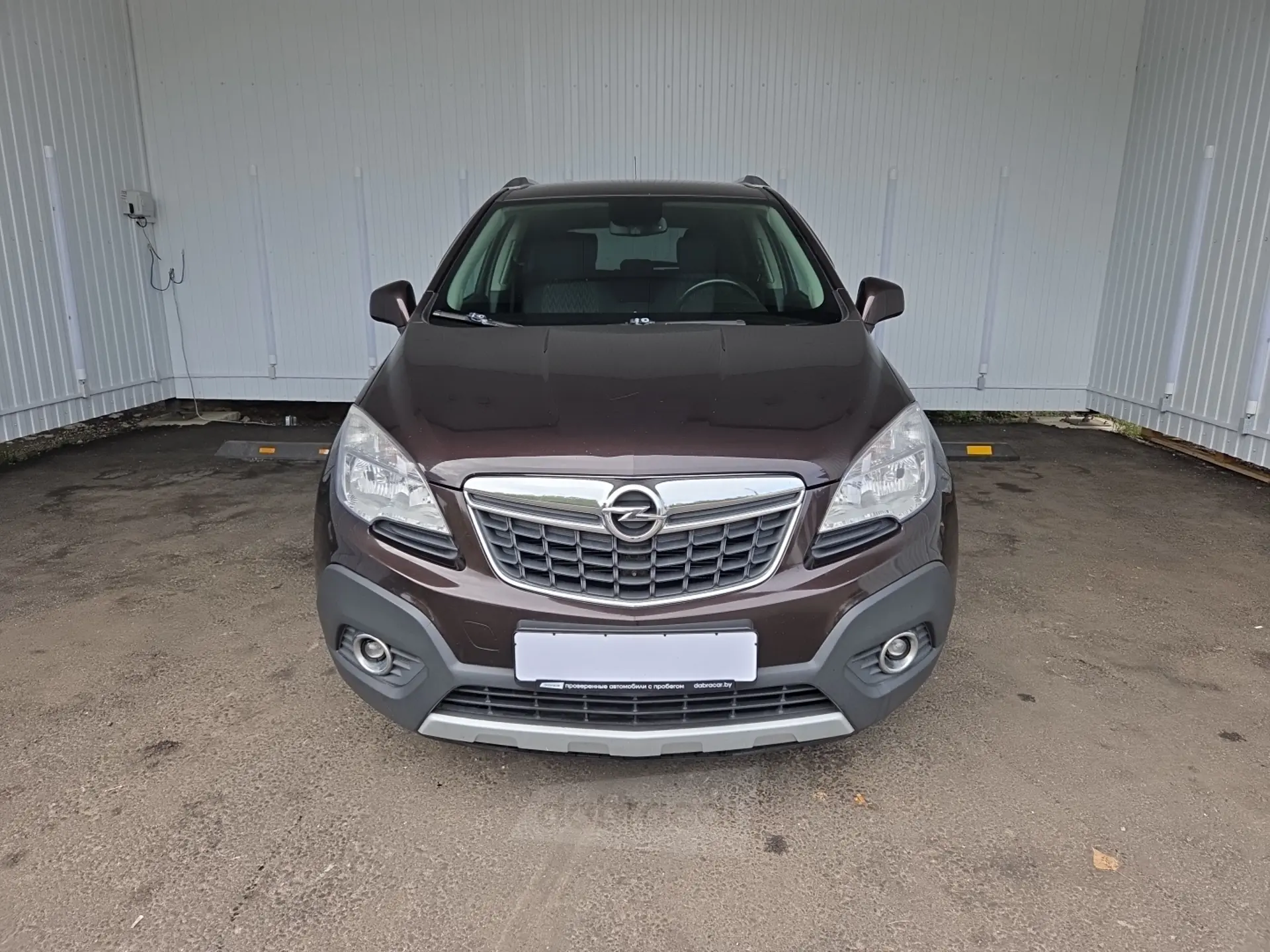  Mokka