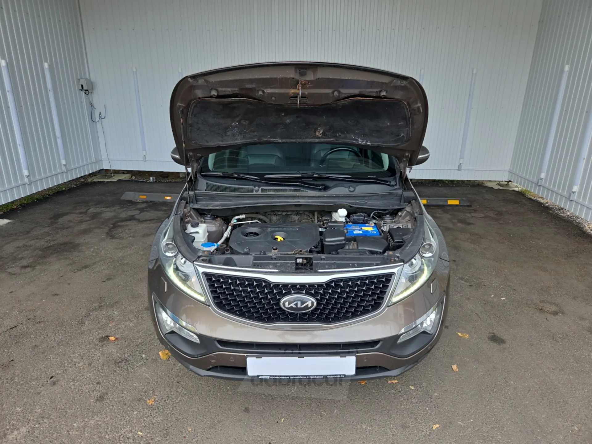  Sportage
