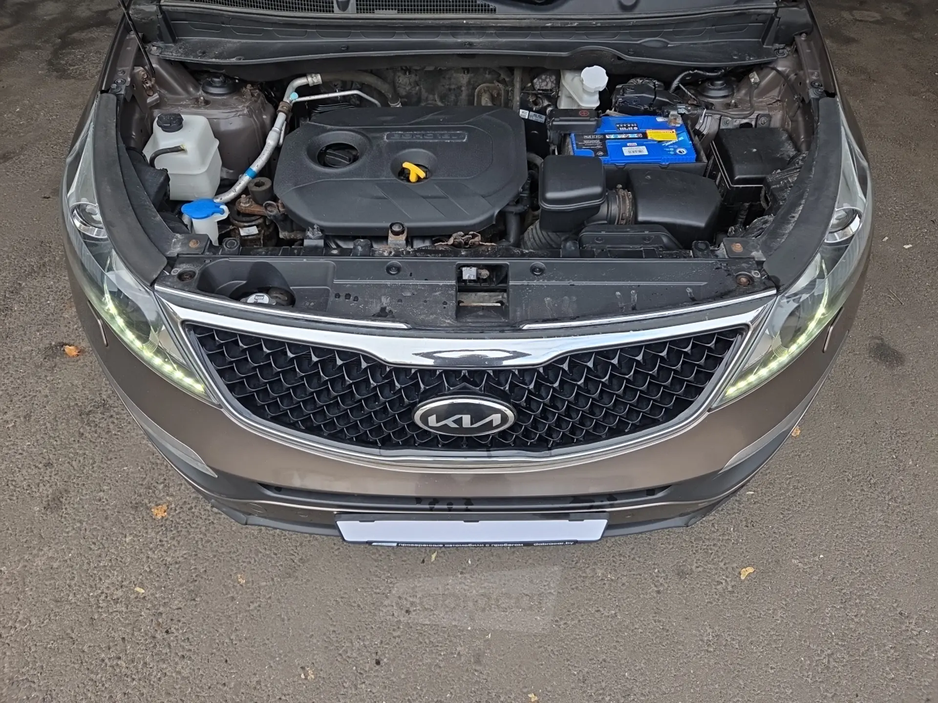  Sportage