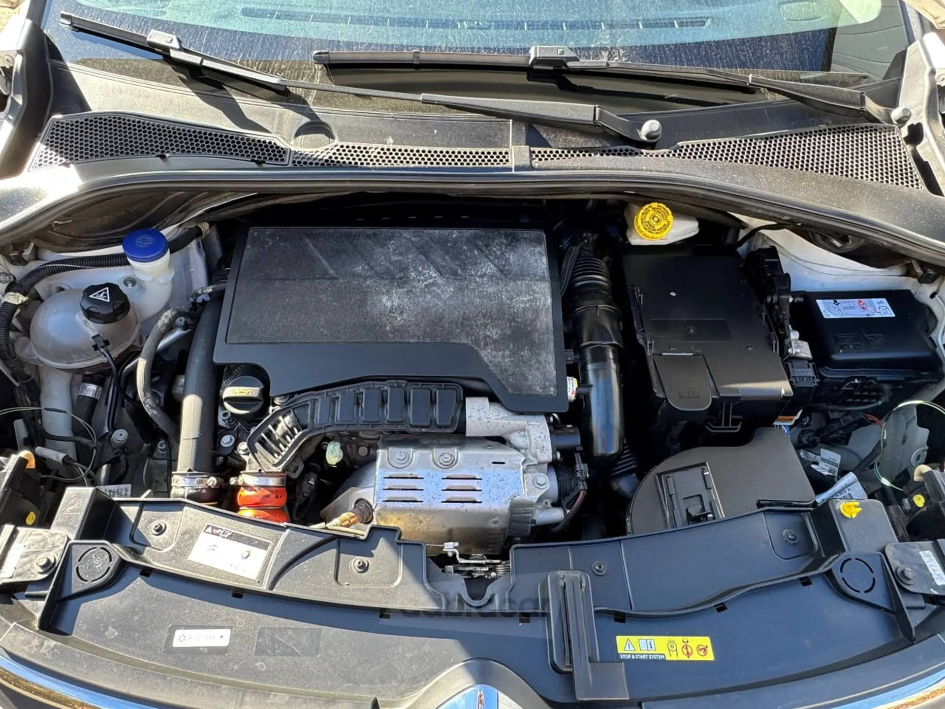  C3