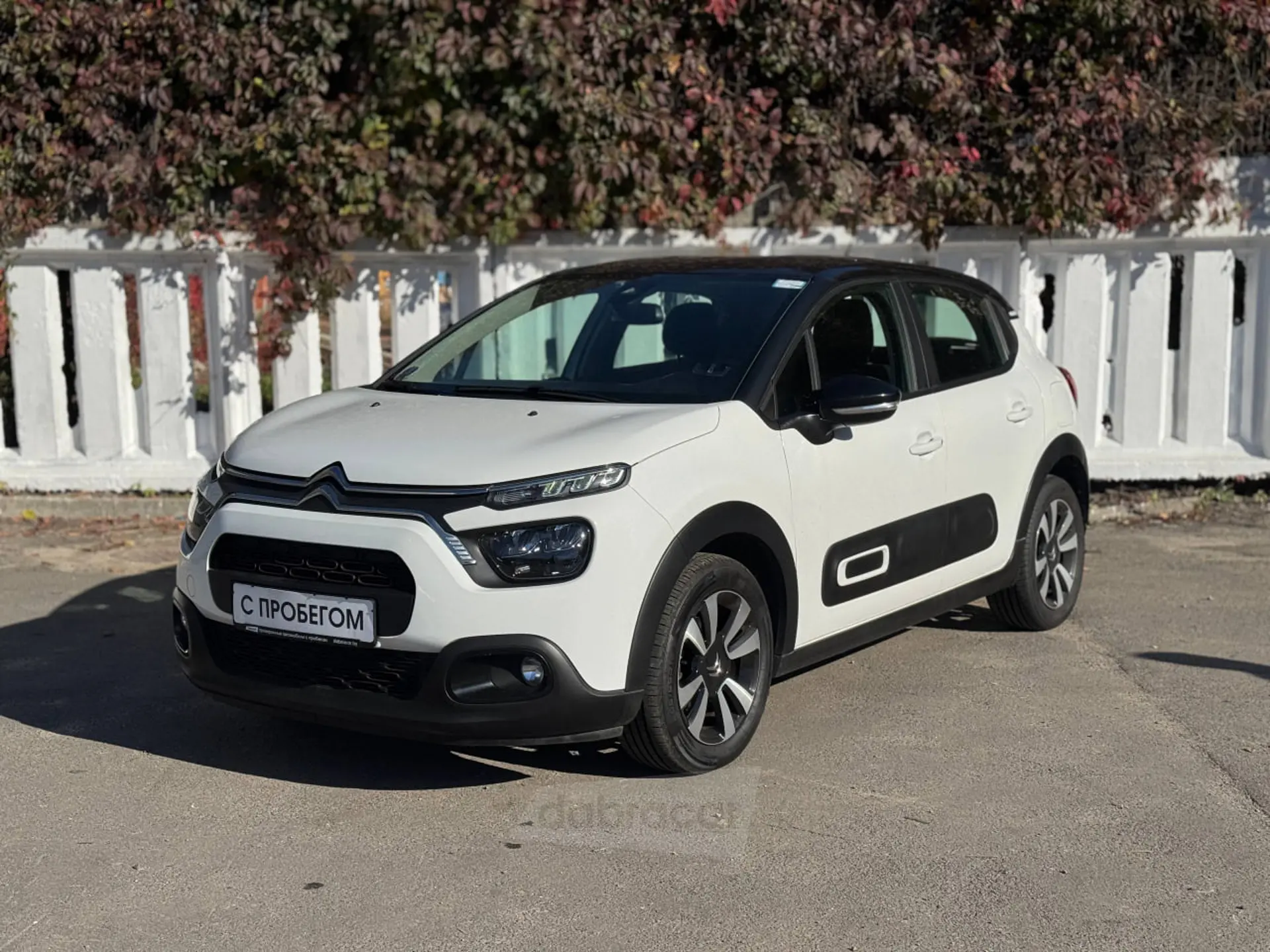  C3