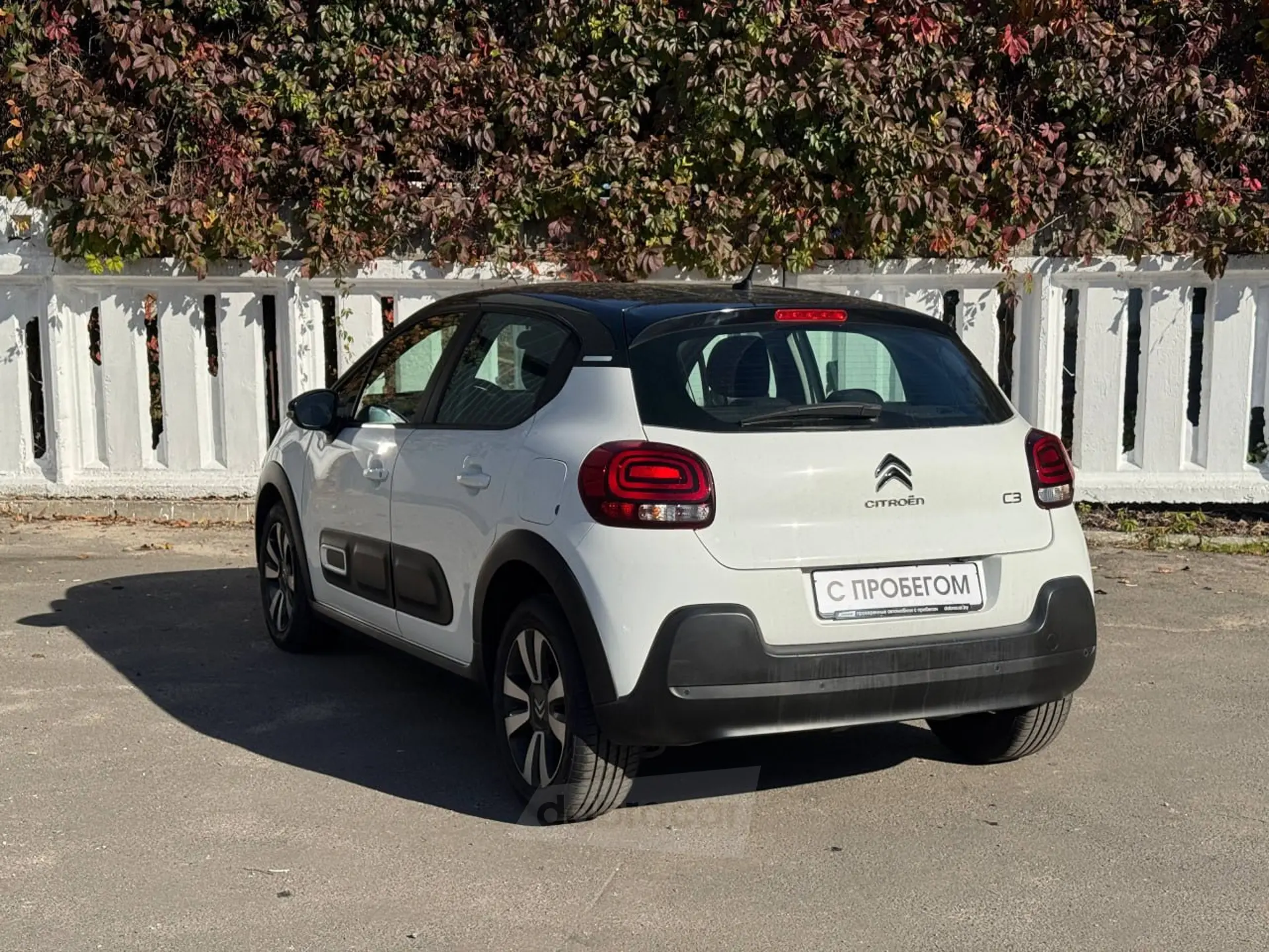  C3