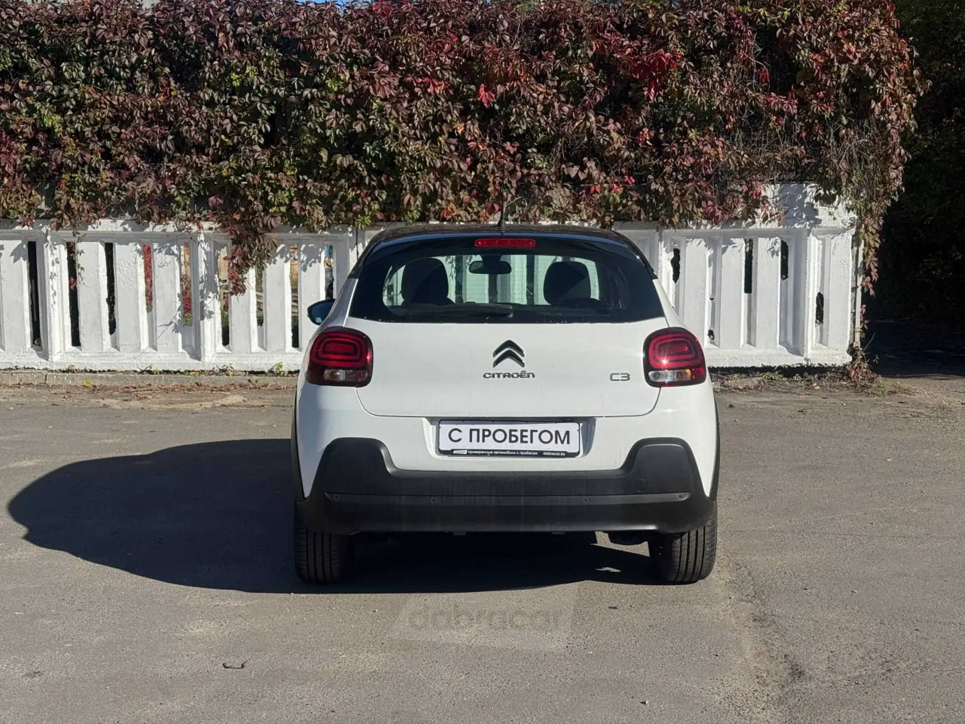  C3