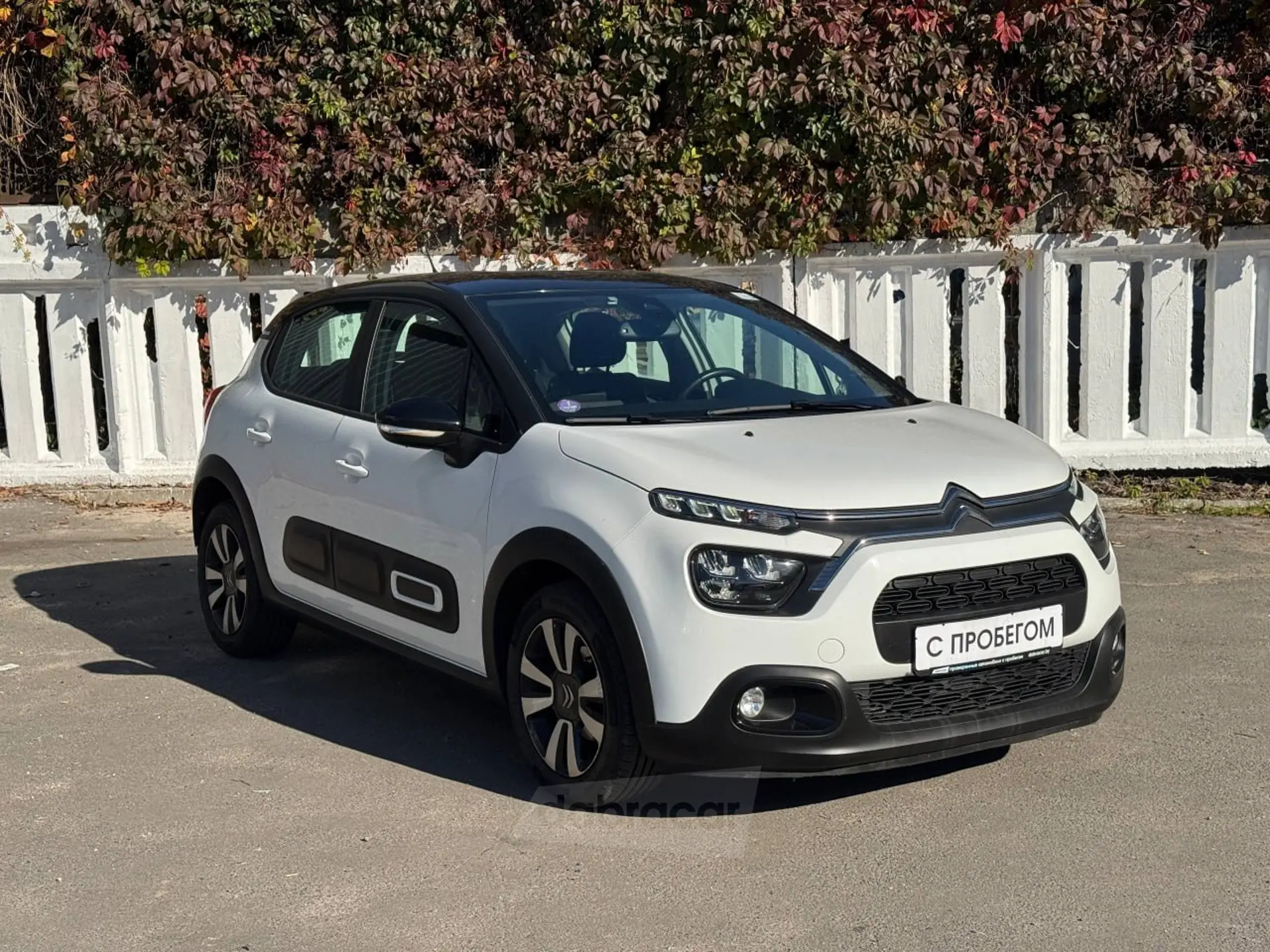  C3