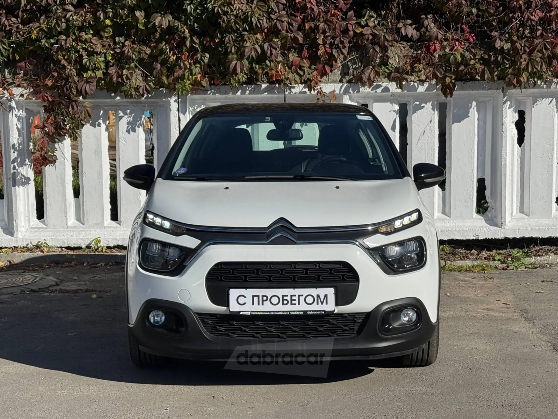  C3
