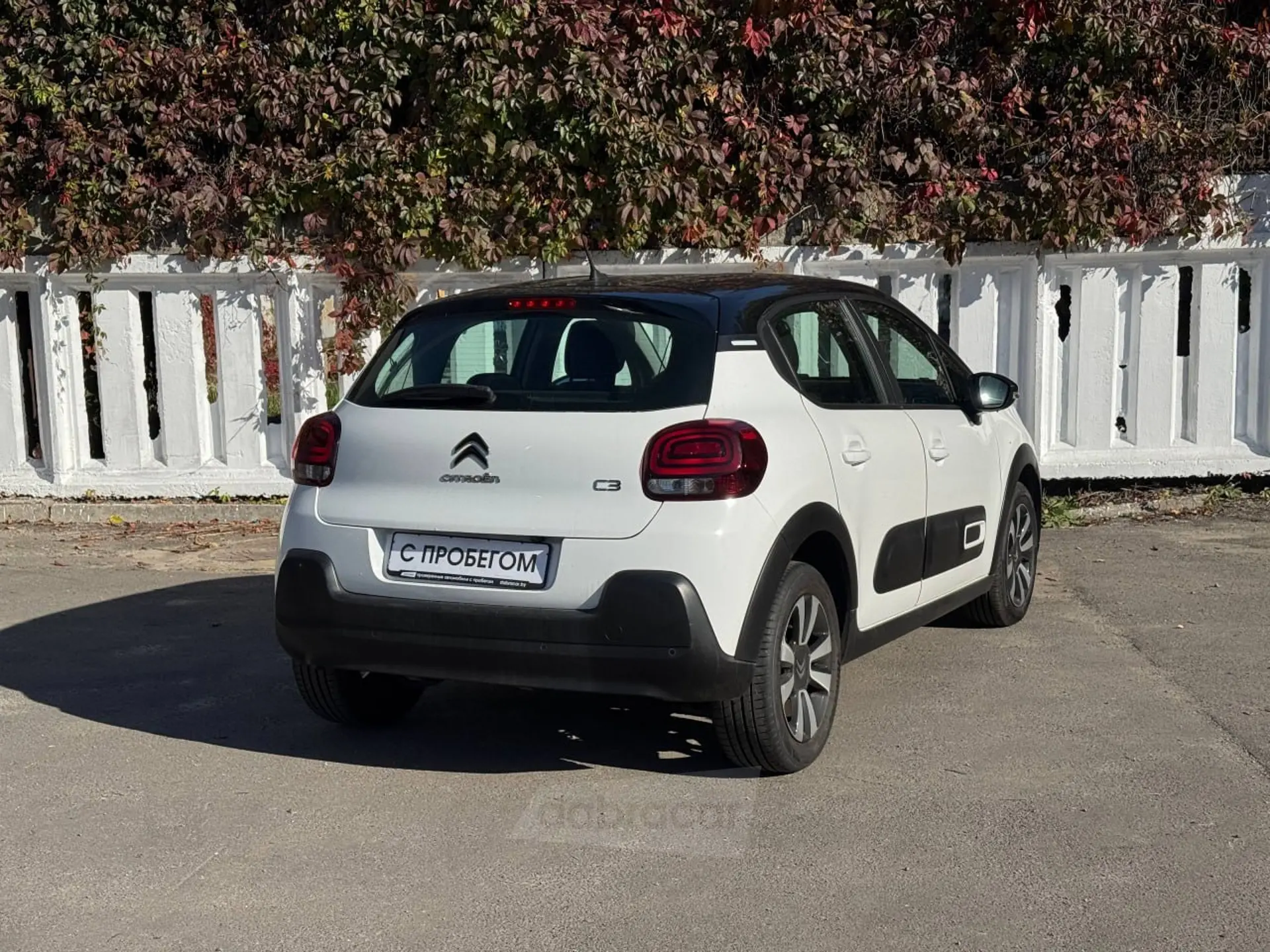  C3