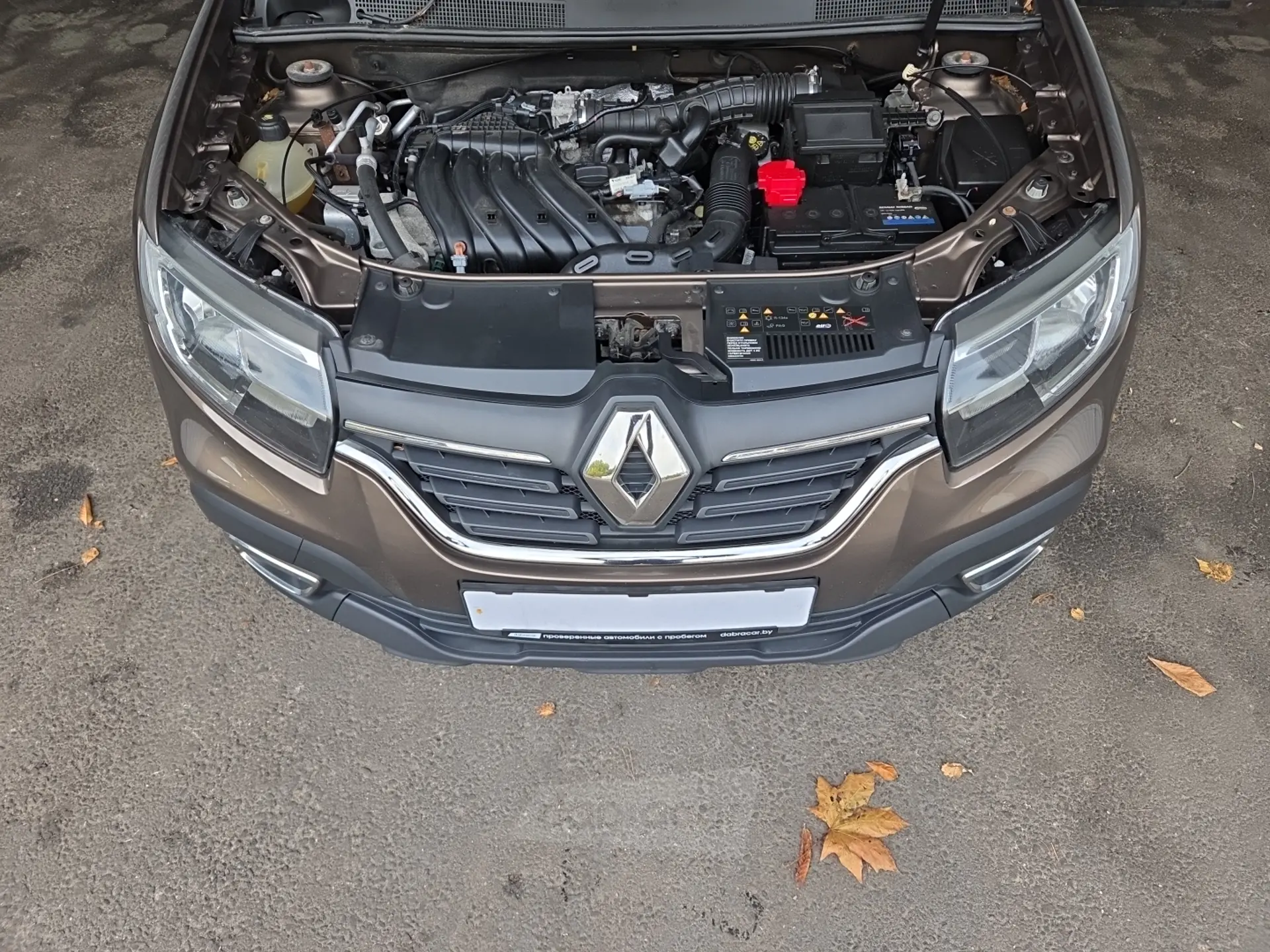  Sandero