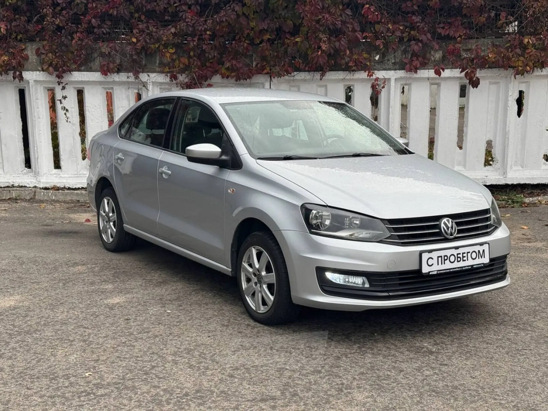  Polo