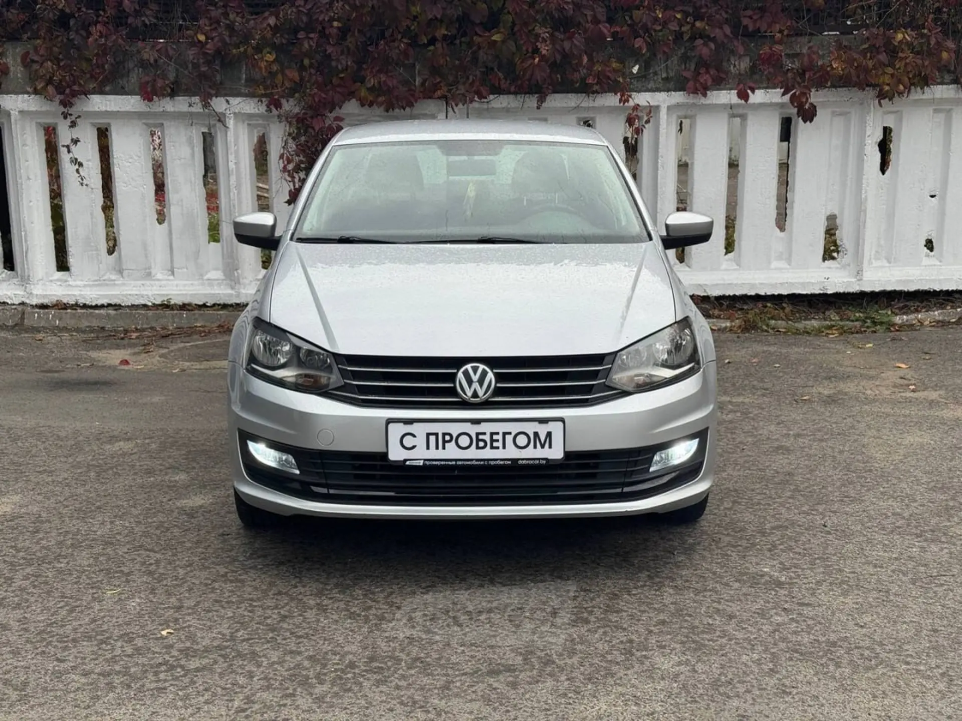  Polo