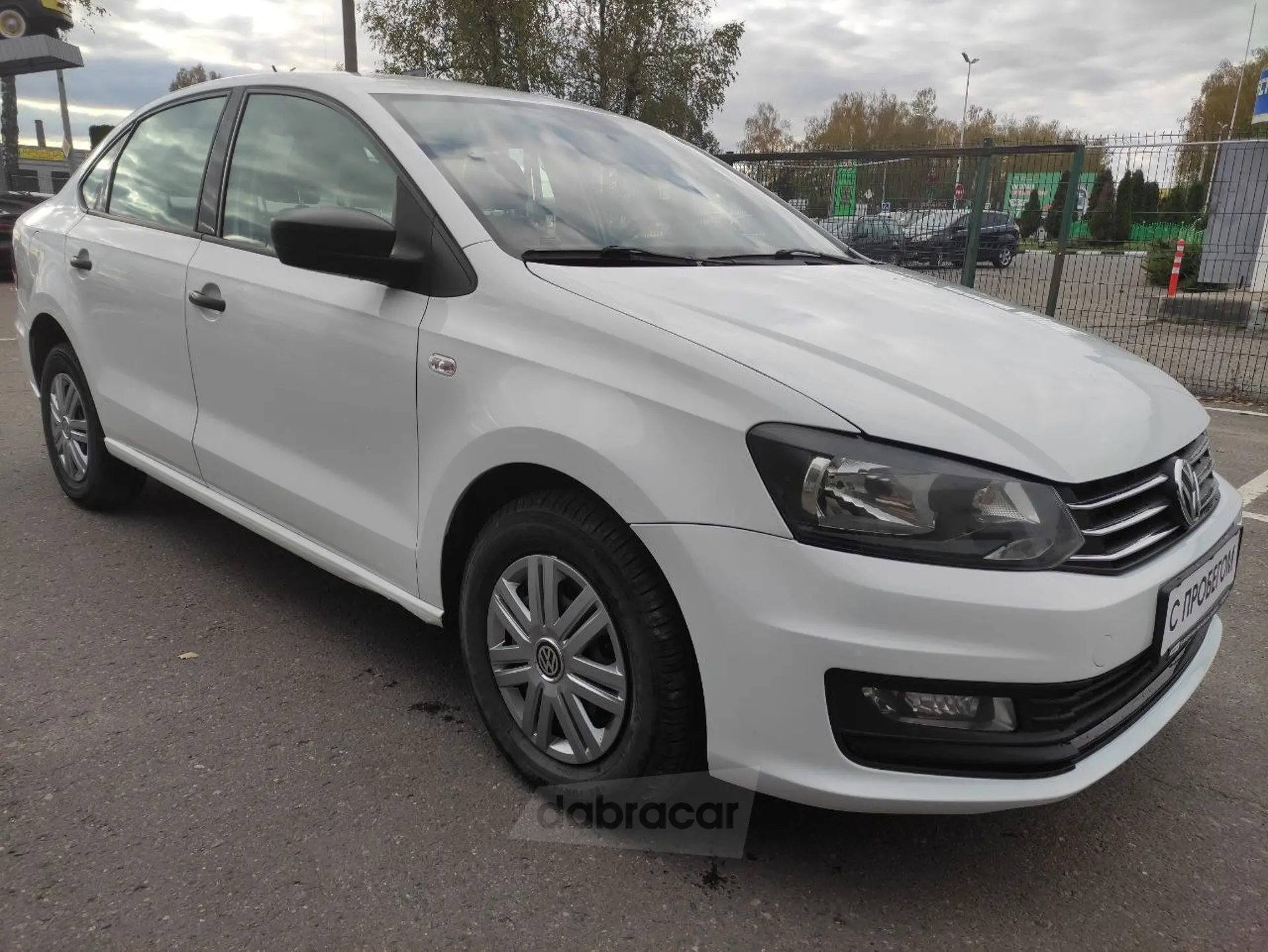  Polo