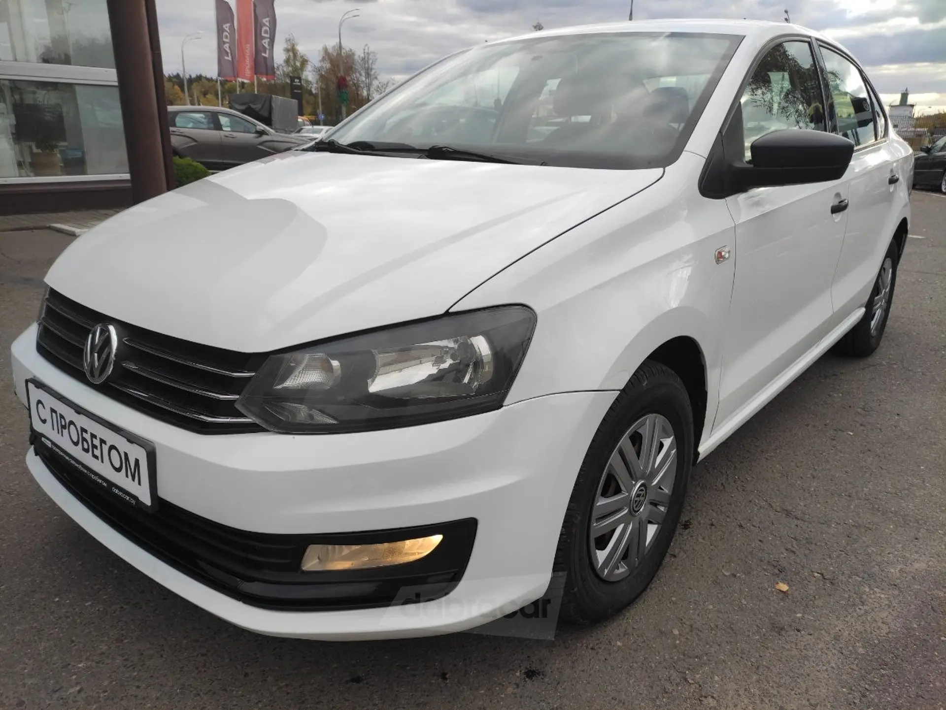  Polo