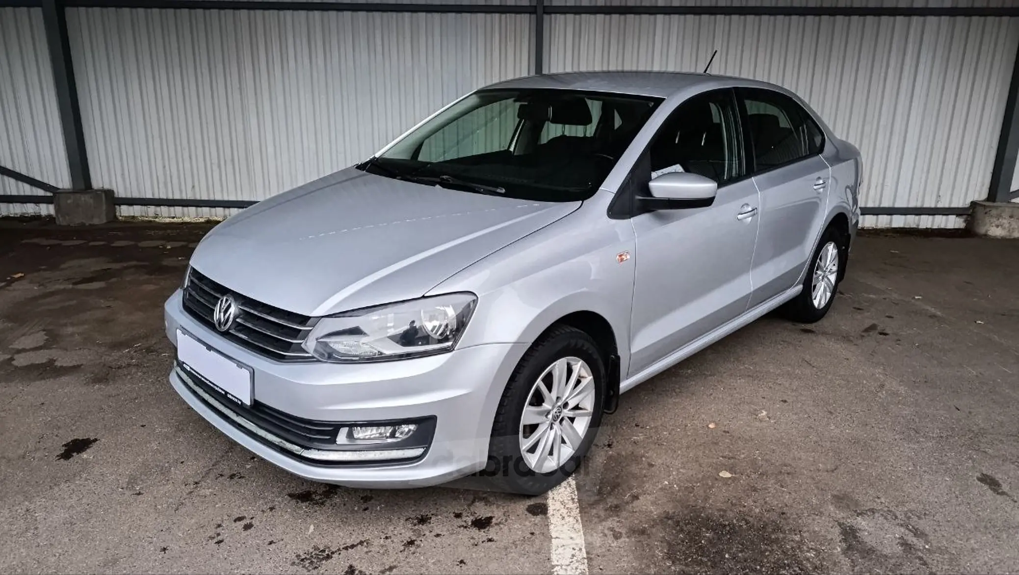  Polo