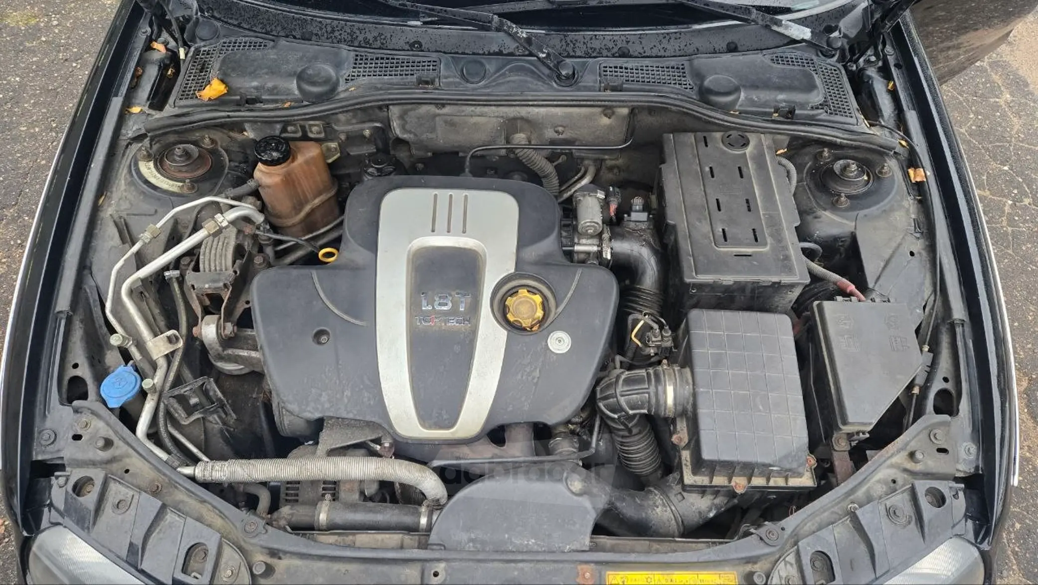  75