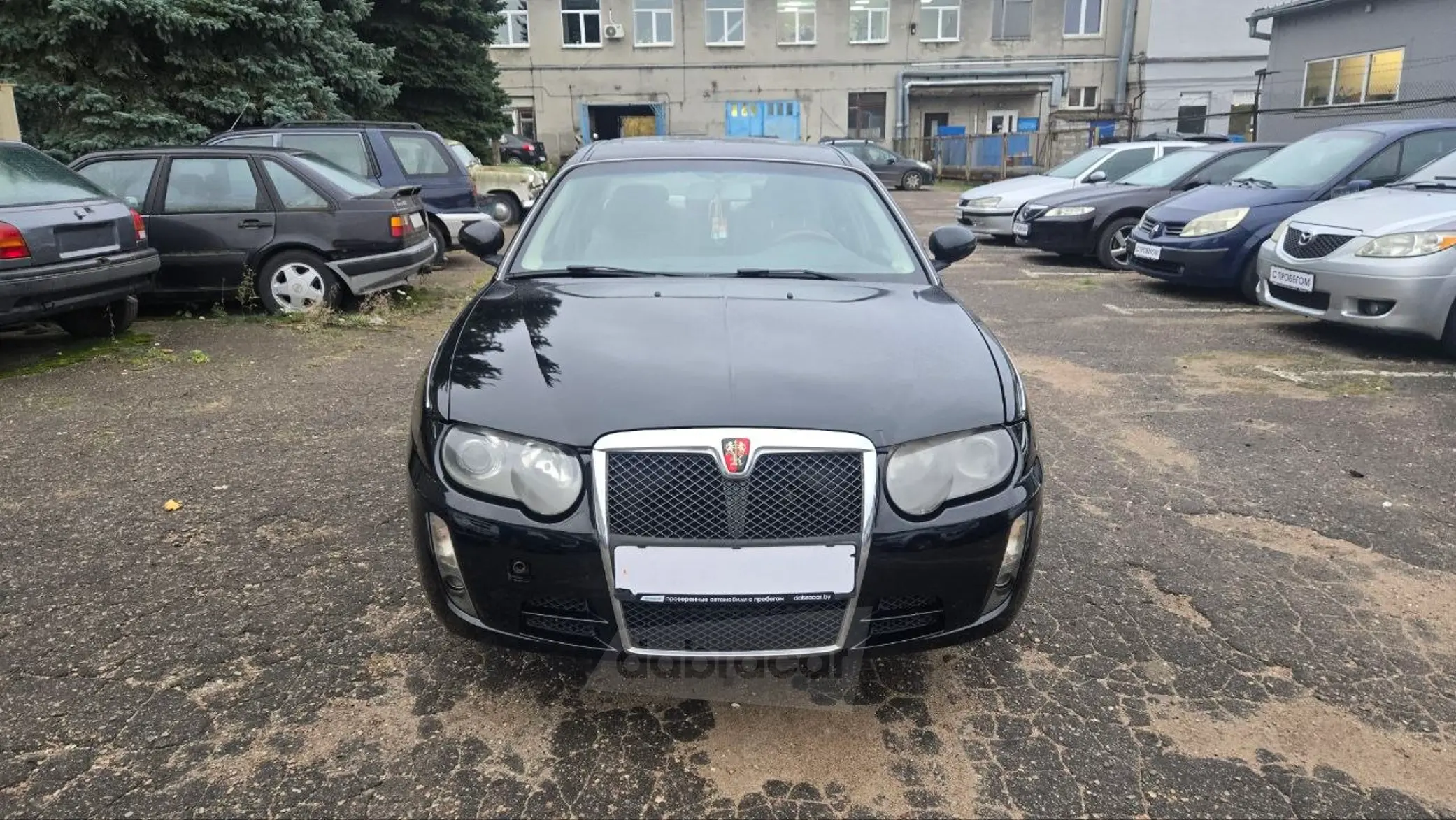  75