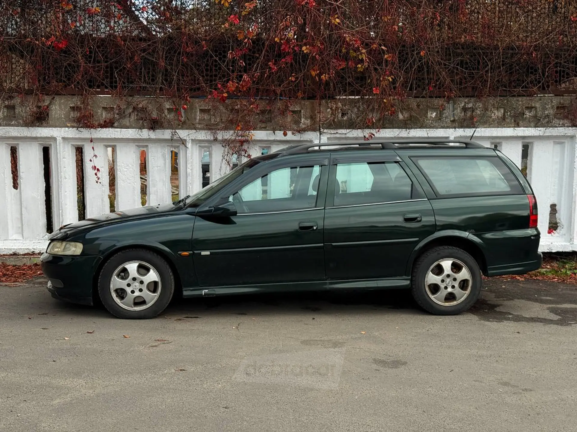  Vectra