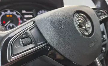 Skoda Rapid 2019 года за 34 690 BYN в Гомель