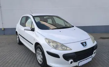 Peugeot 307 2005 года за 12 990 BYN в Барановичи