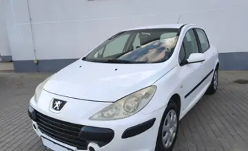 Peugeot 307 2005 года за 12 290 BYN в Барановичи