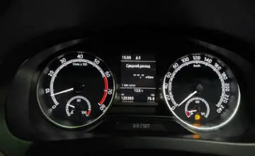 Skoda Rapid 2017 года за 38 390 BYN в Гомель