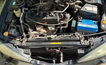 Nissan Primera 2001 года за 8 590 BYN в Гомель