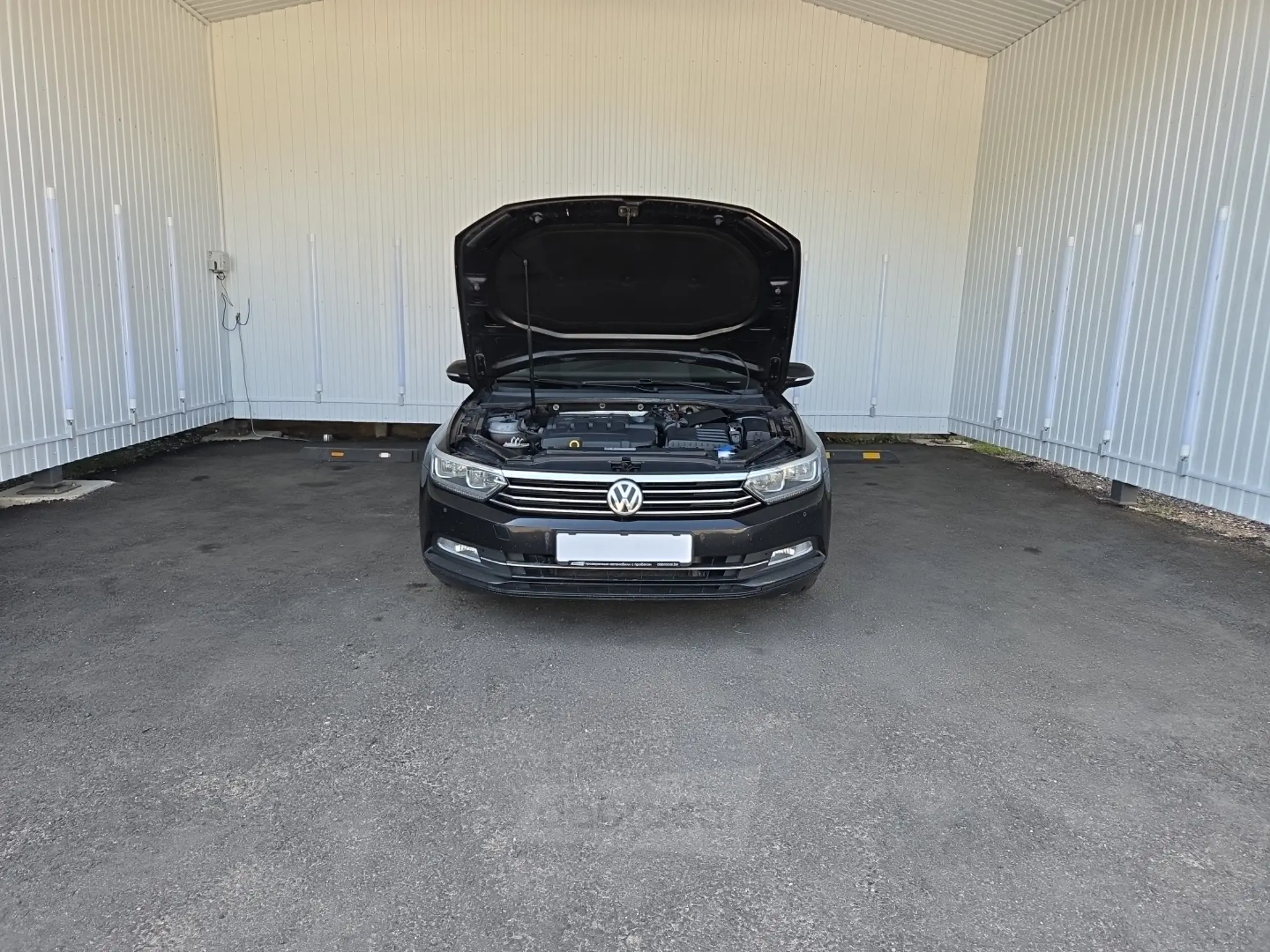  Passat