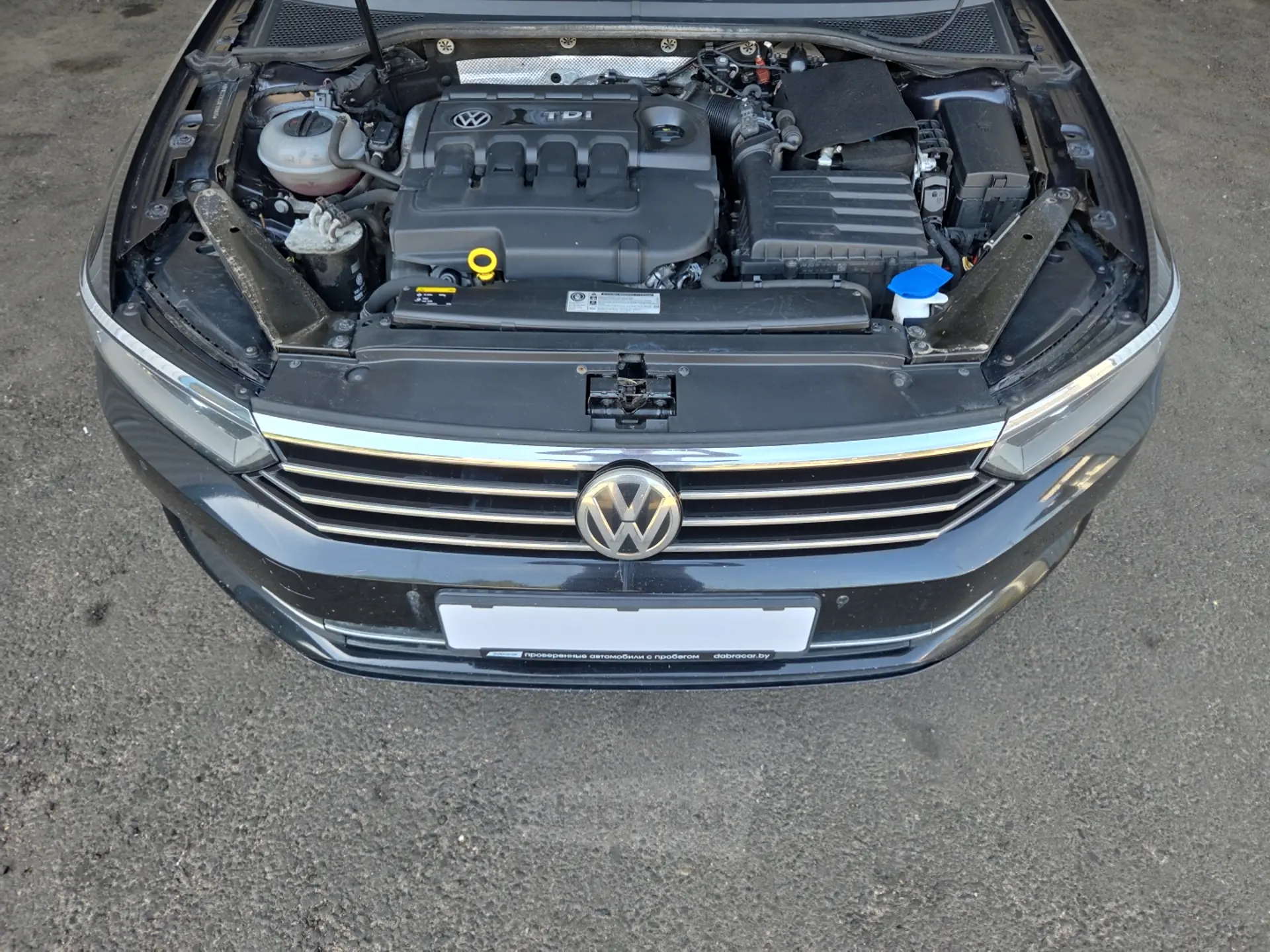  Passat
