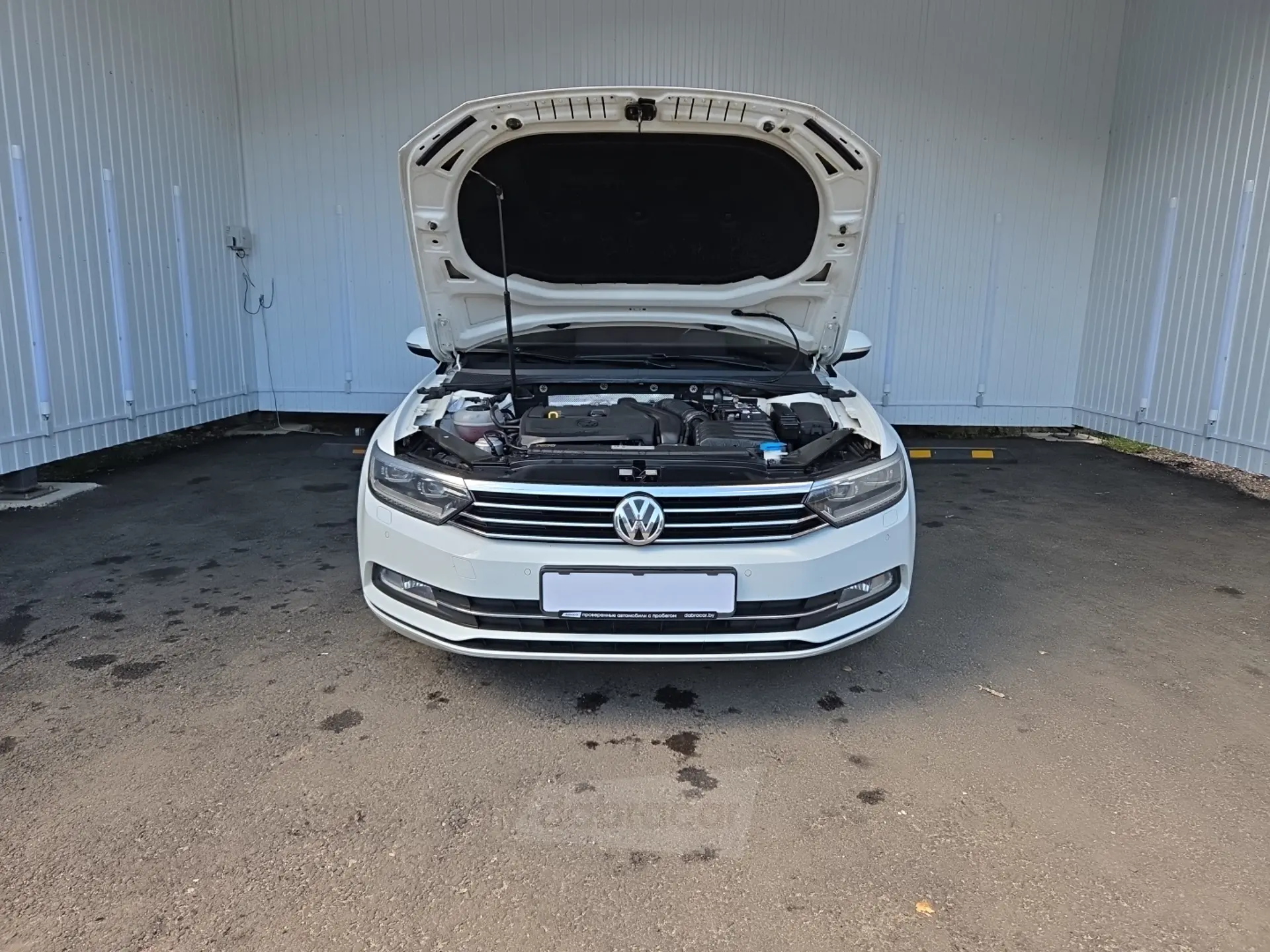  Passat
