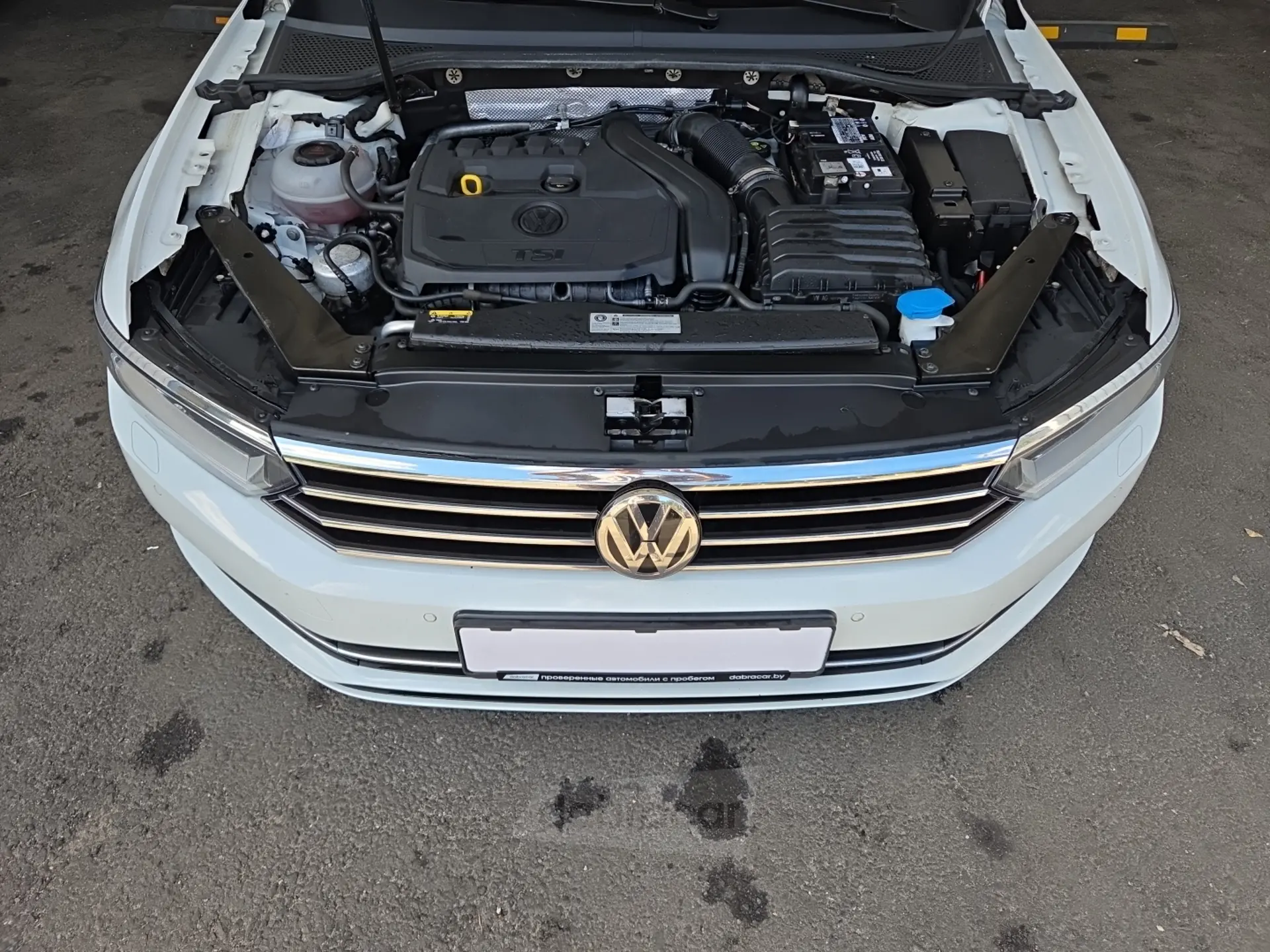  Passat