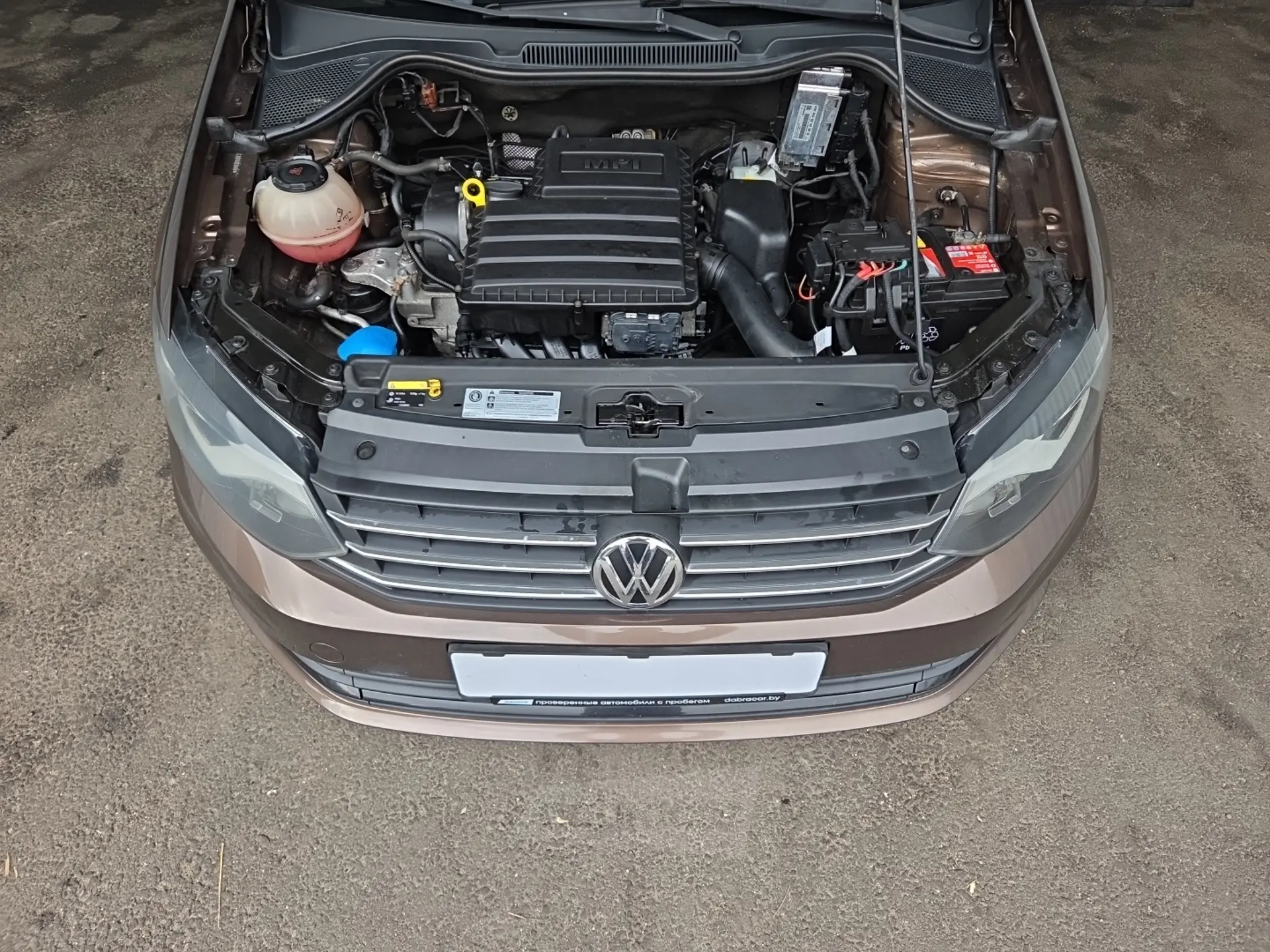  Polo