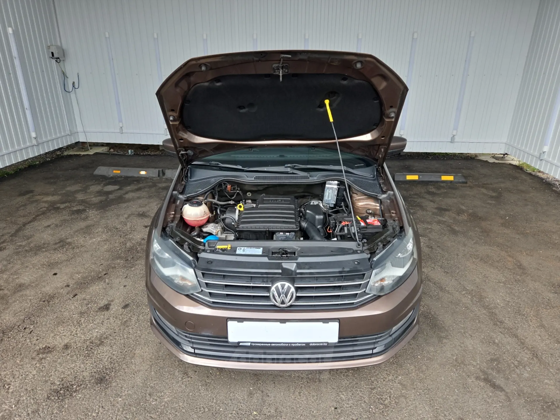  Polo