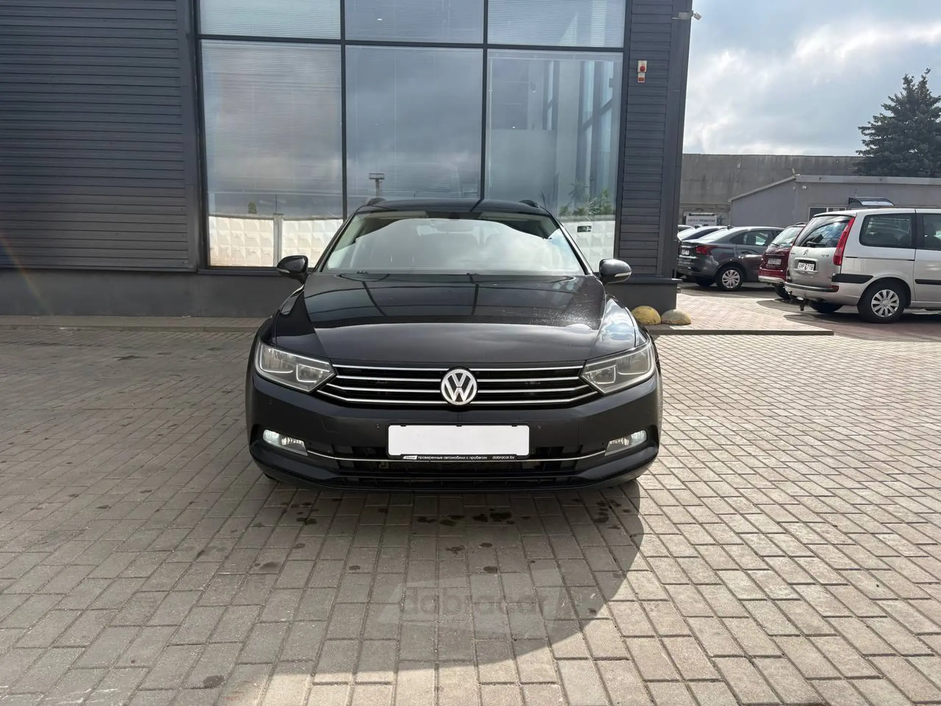  Passat