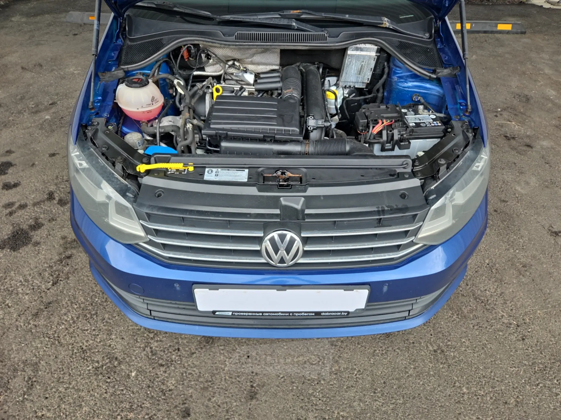  Polo
