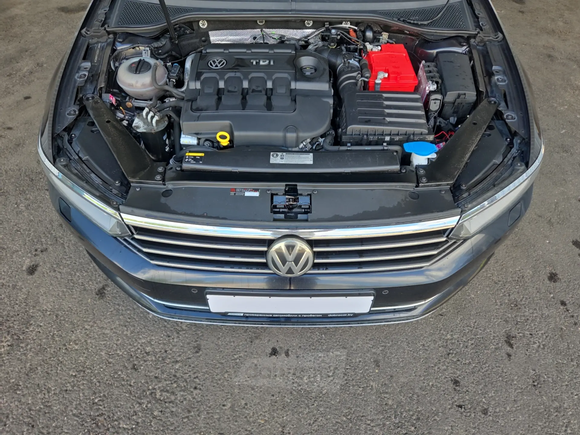  Passat