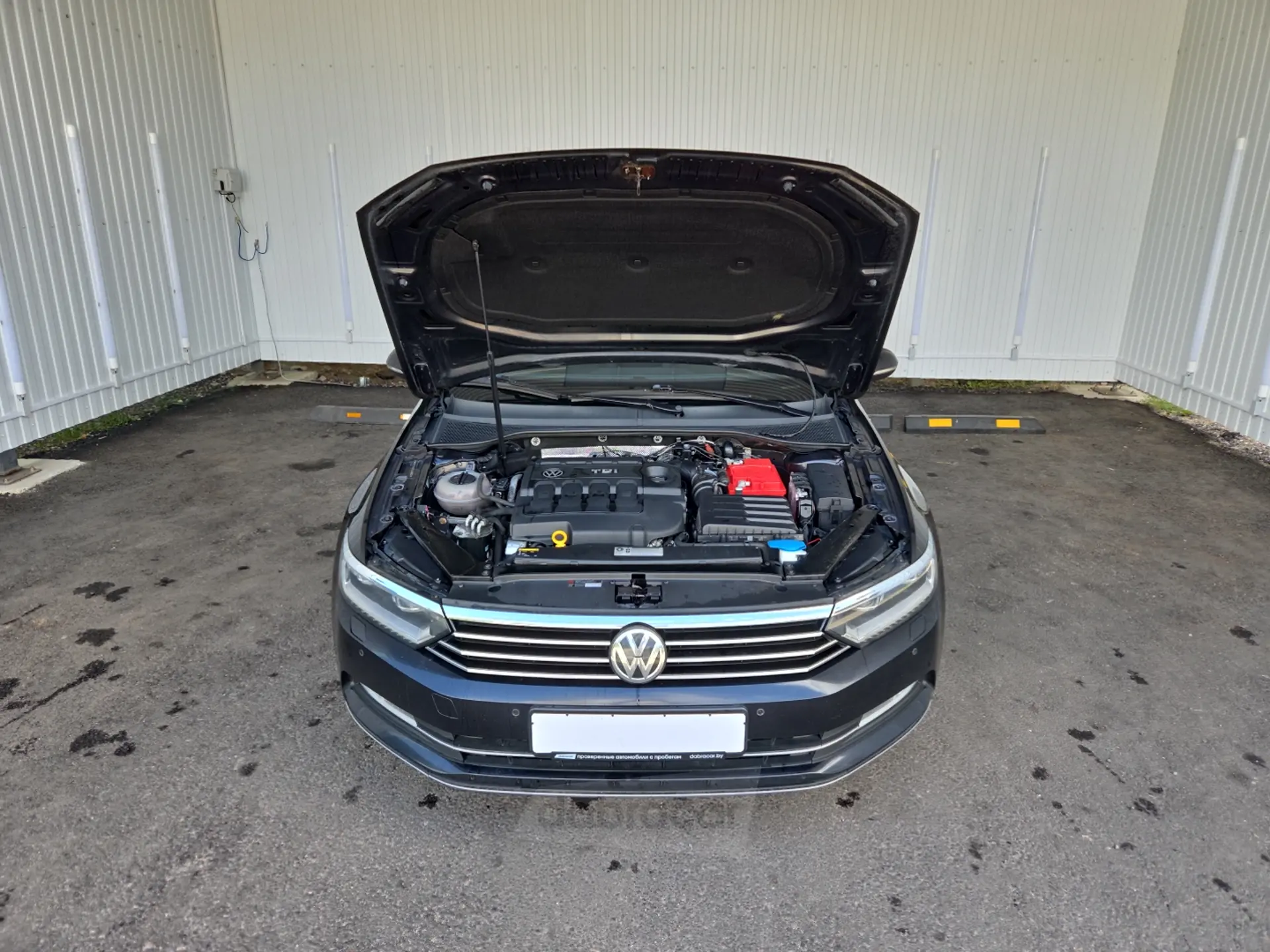  Passat