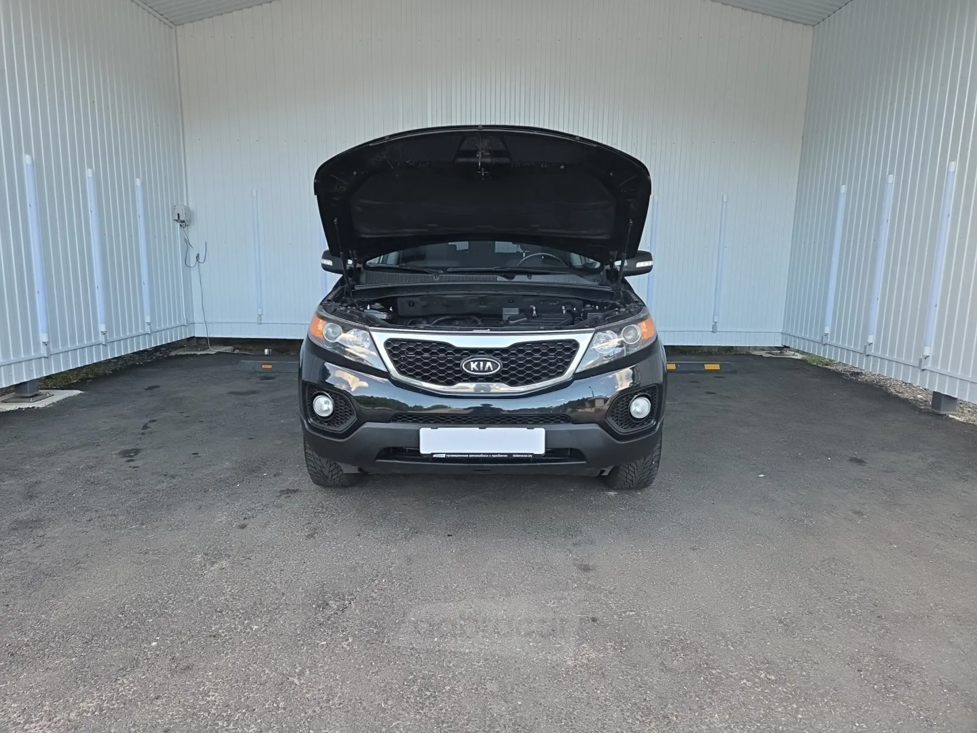  Sorento
