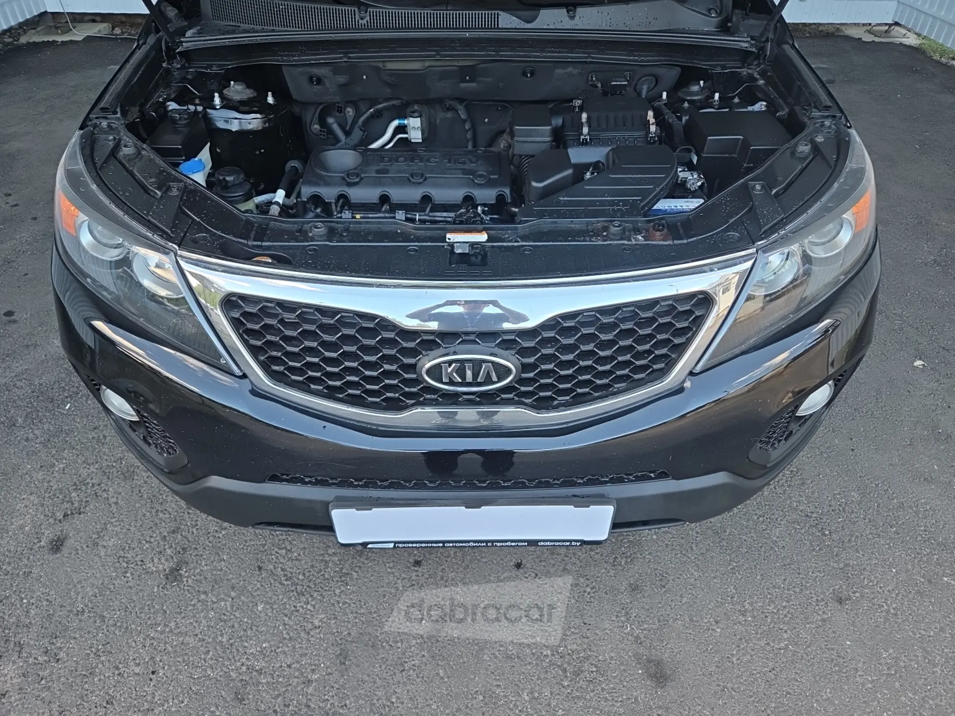  Sorento
