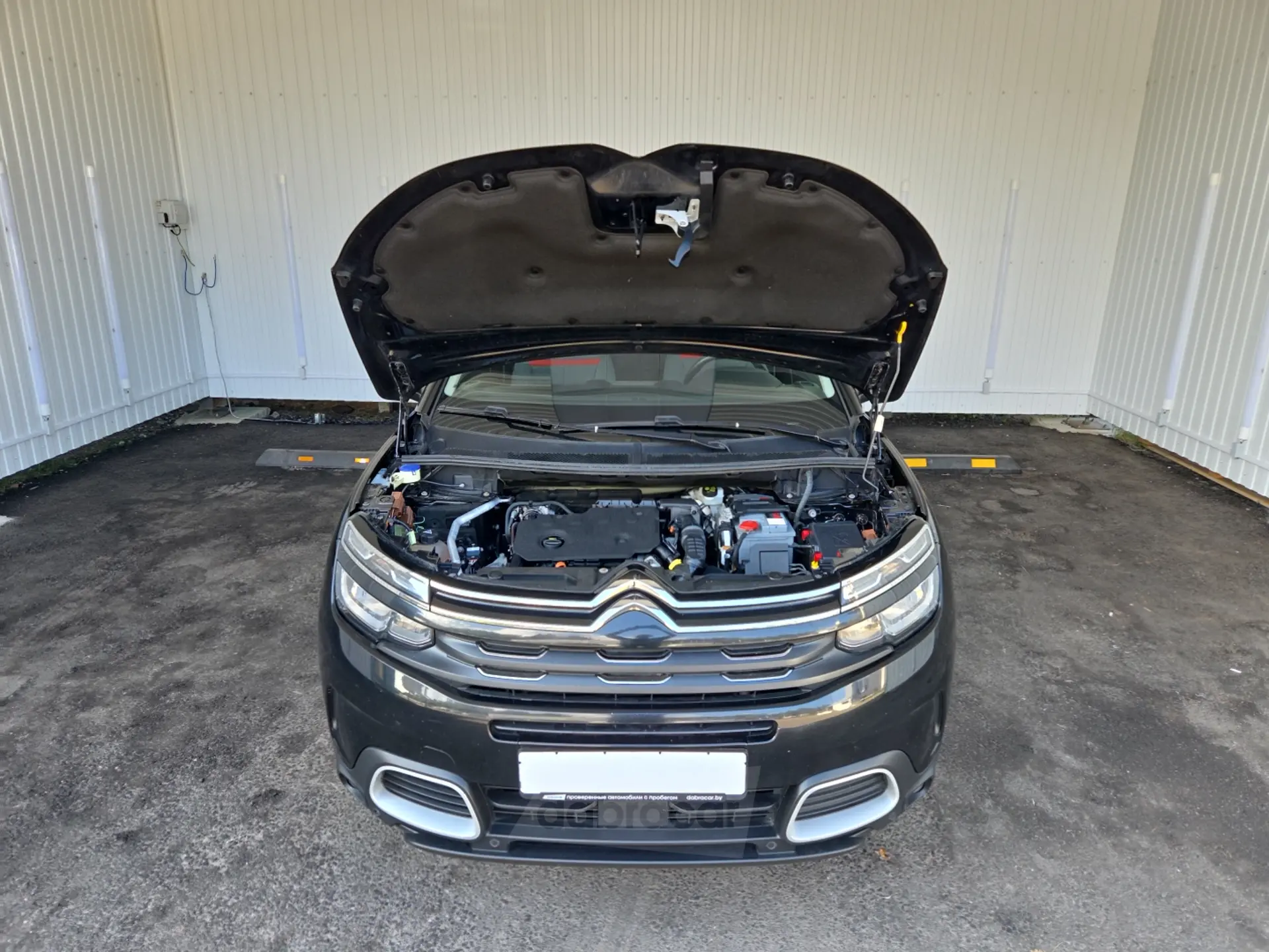  C5 Aircross