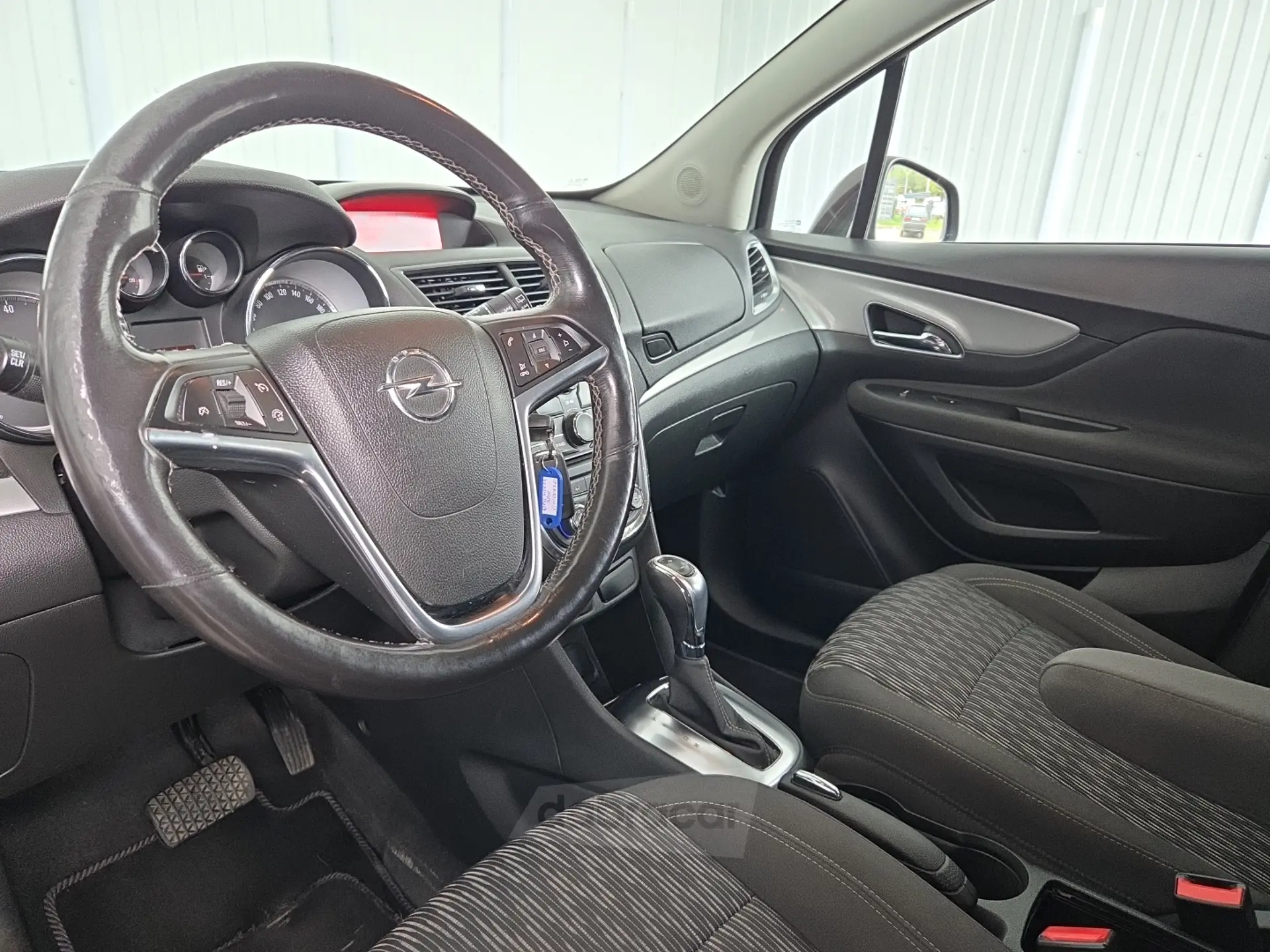  Mokka