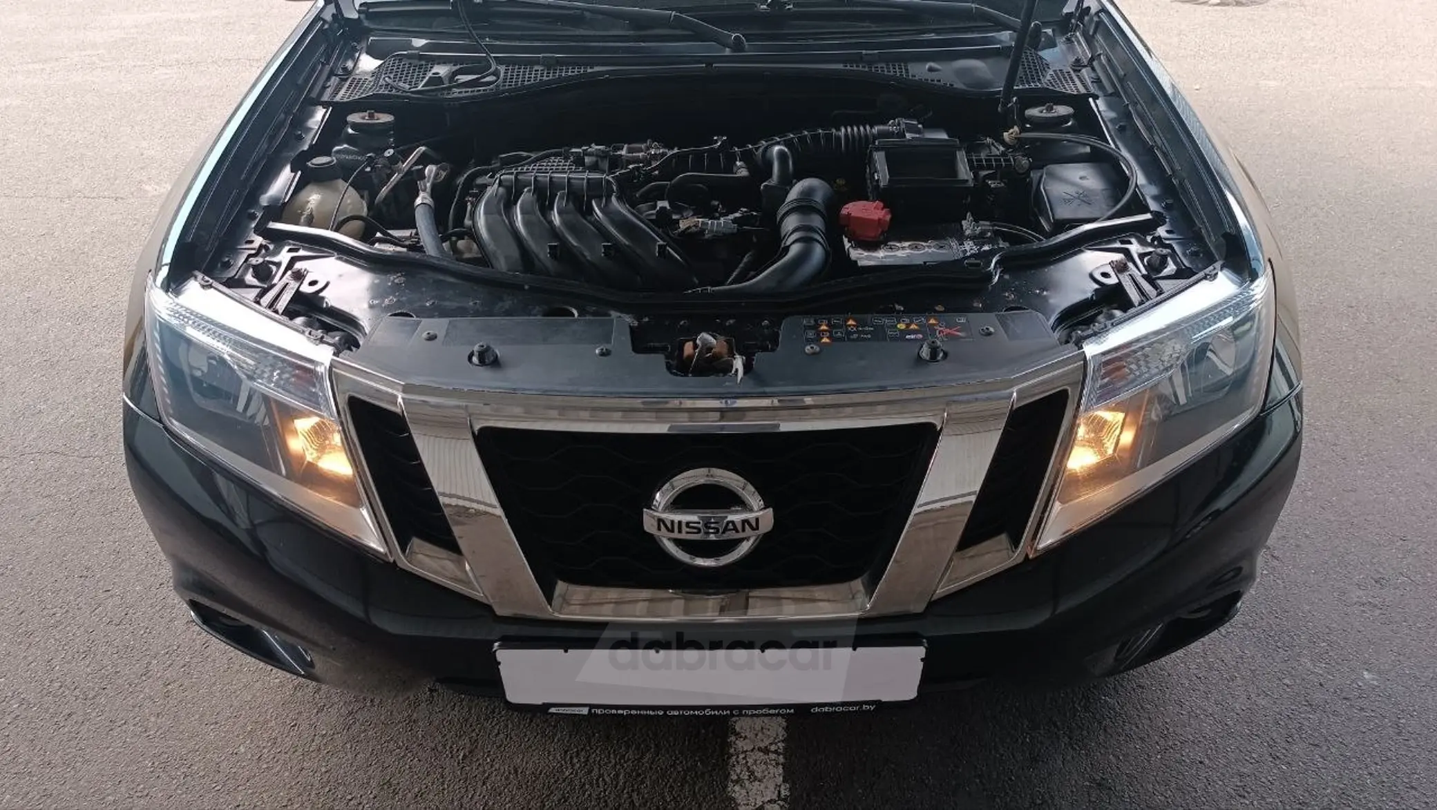  Terrano
